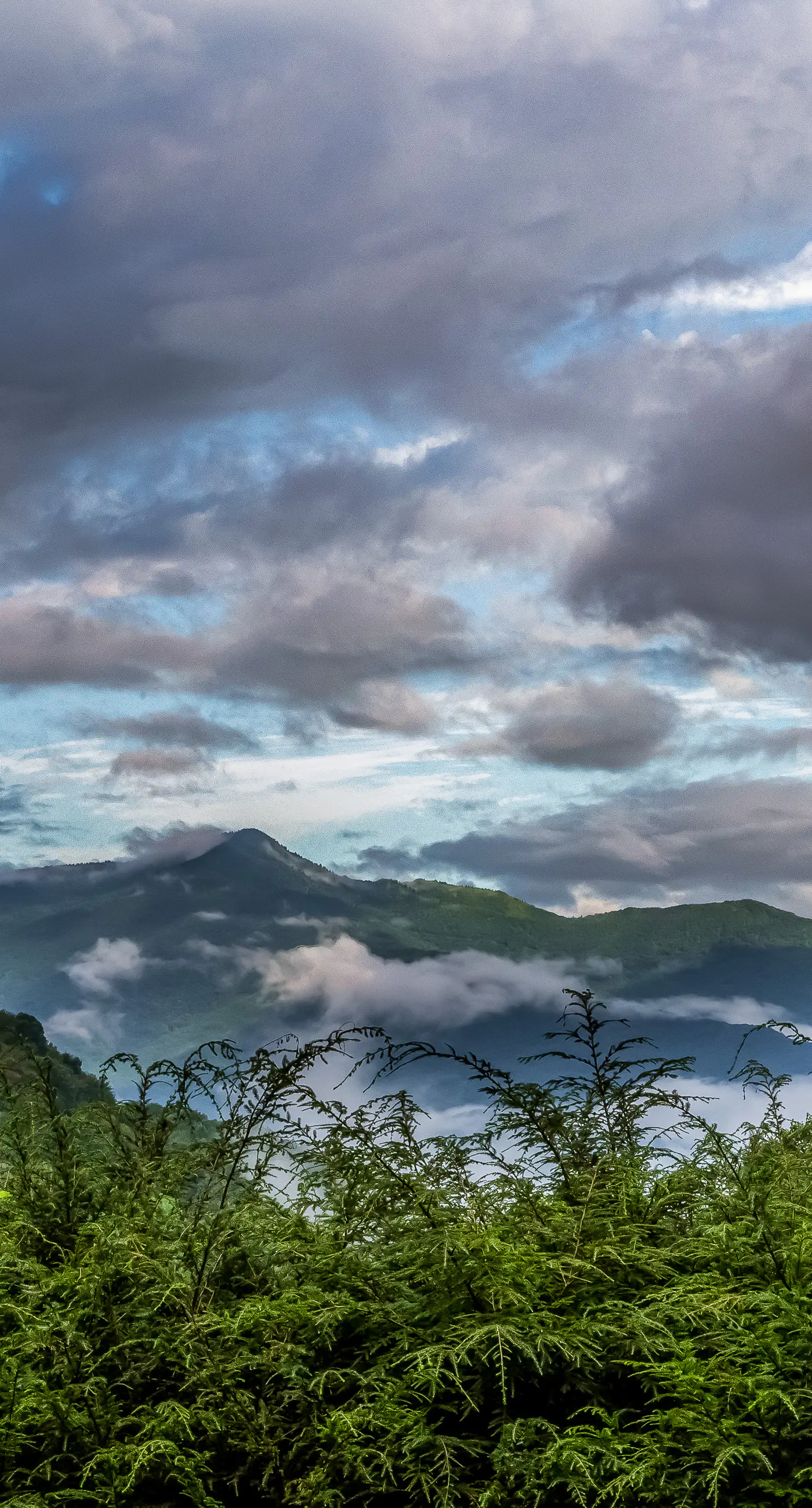 Eagles Nest at Big Bear Estates
