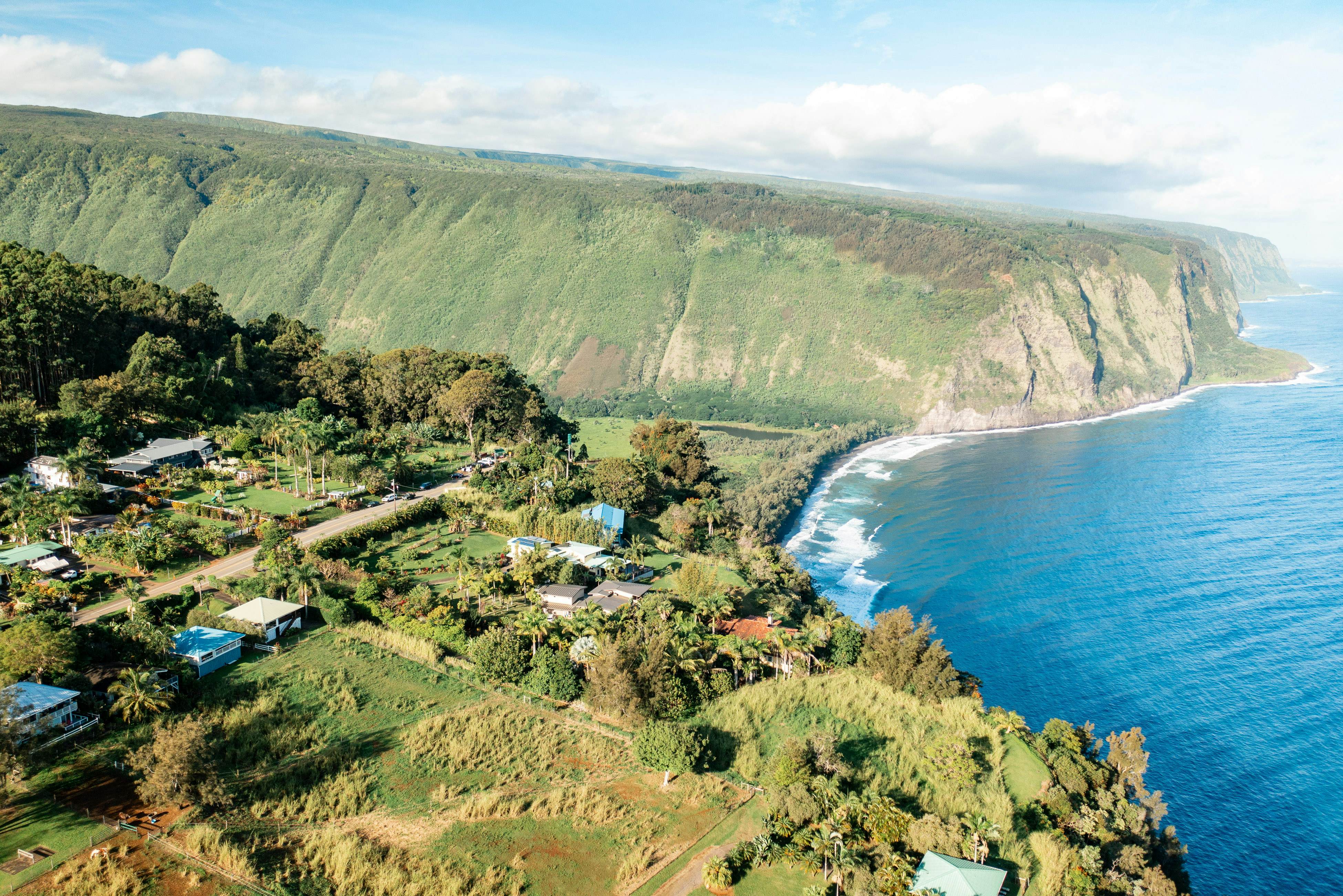 Waipio Glass House 2 BD Honokaa, HI Vacation Rental Vacasa