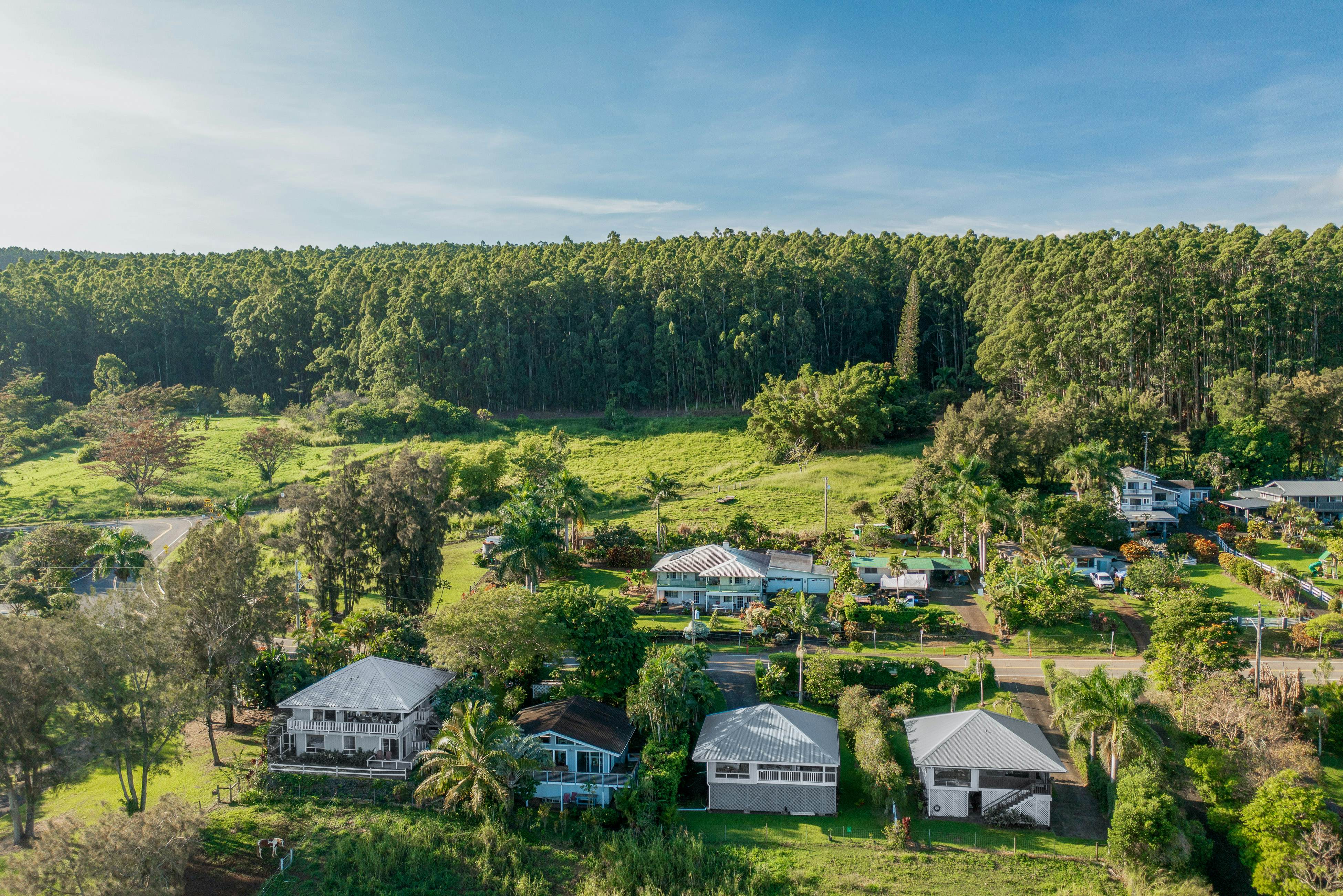 Waipio Glass House 2 BD Honokaa, HI Vacation Rental Vacasa