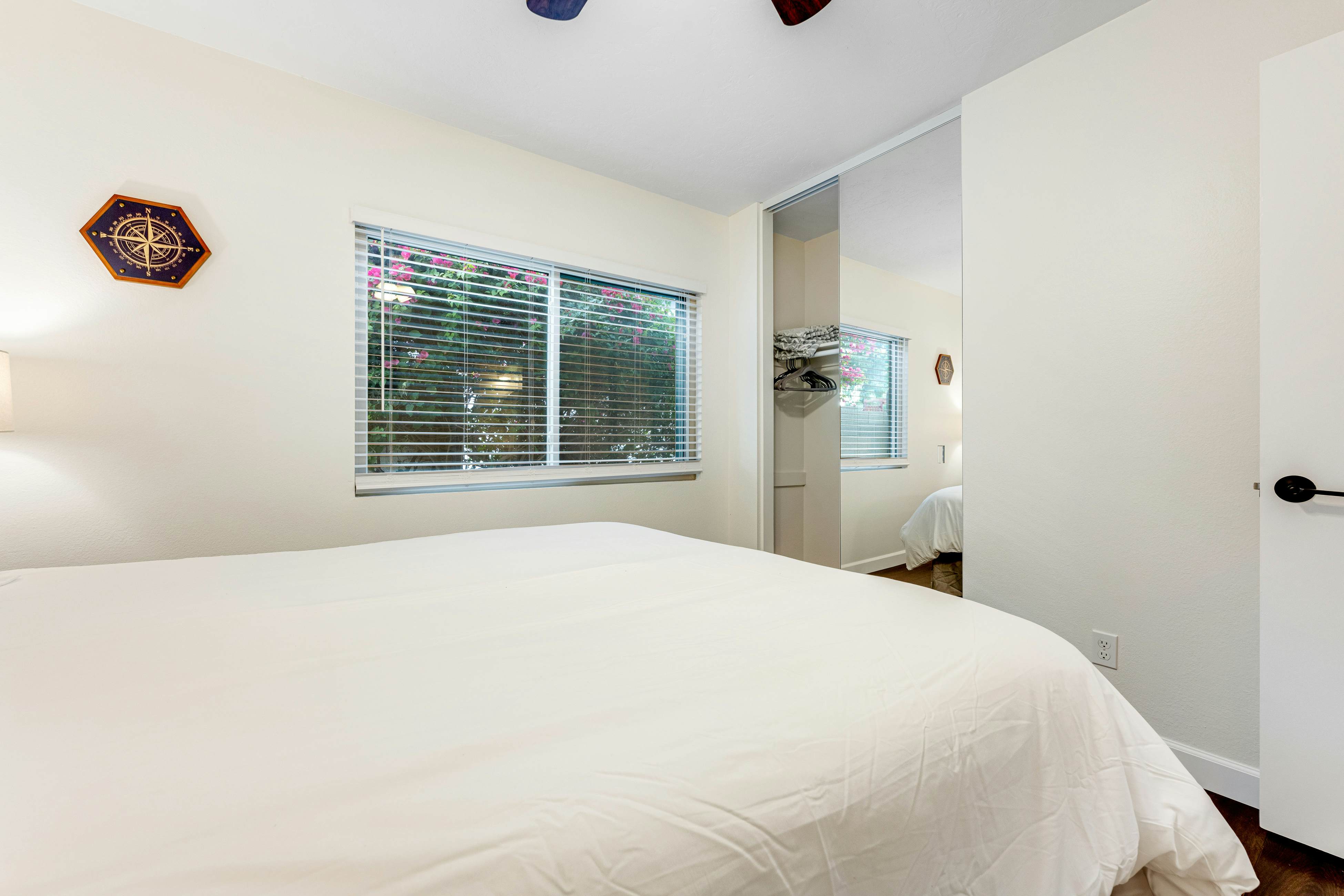 Scottsdale's Charmer