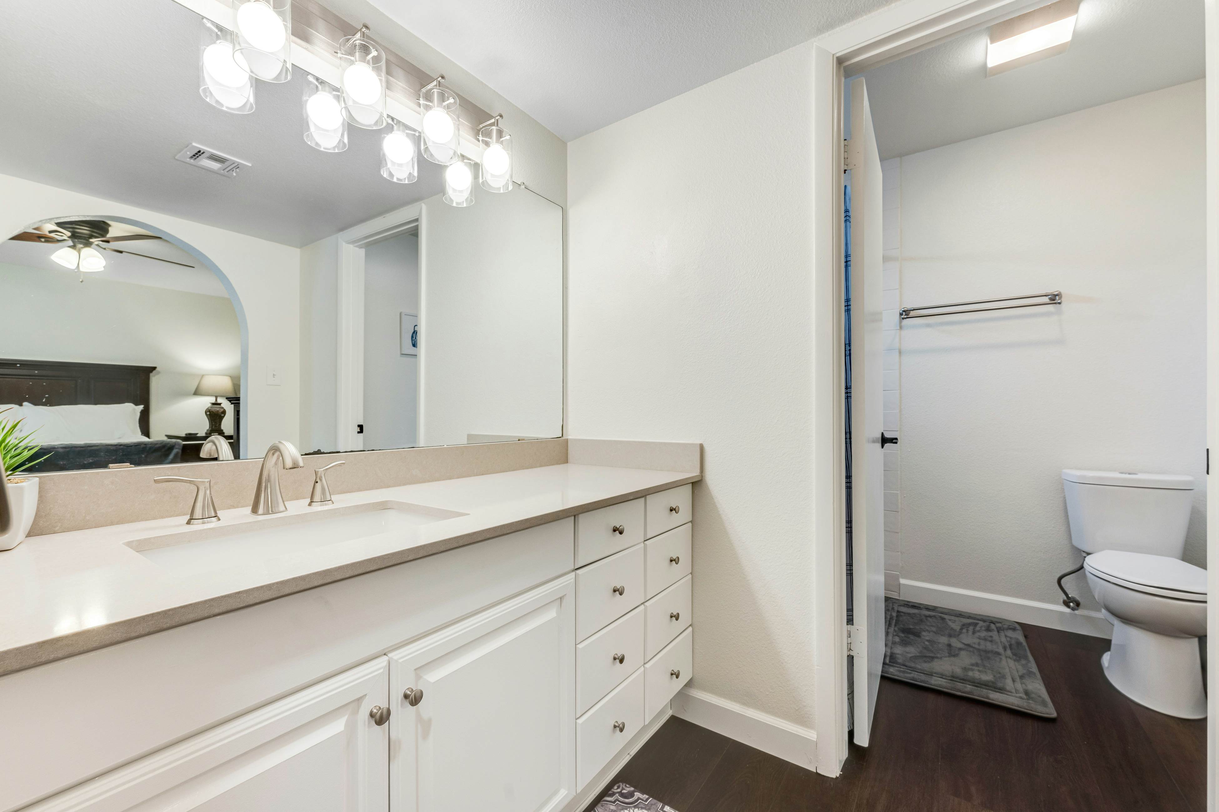 Scottsdale's Charmer