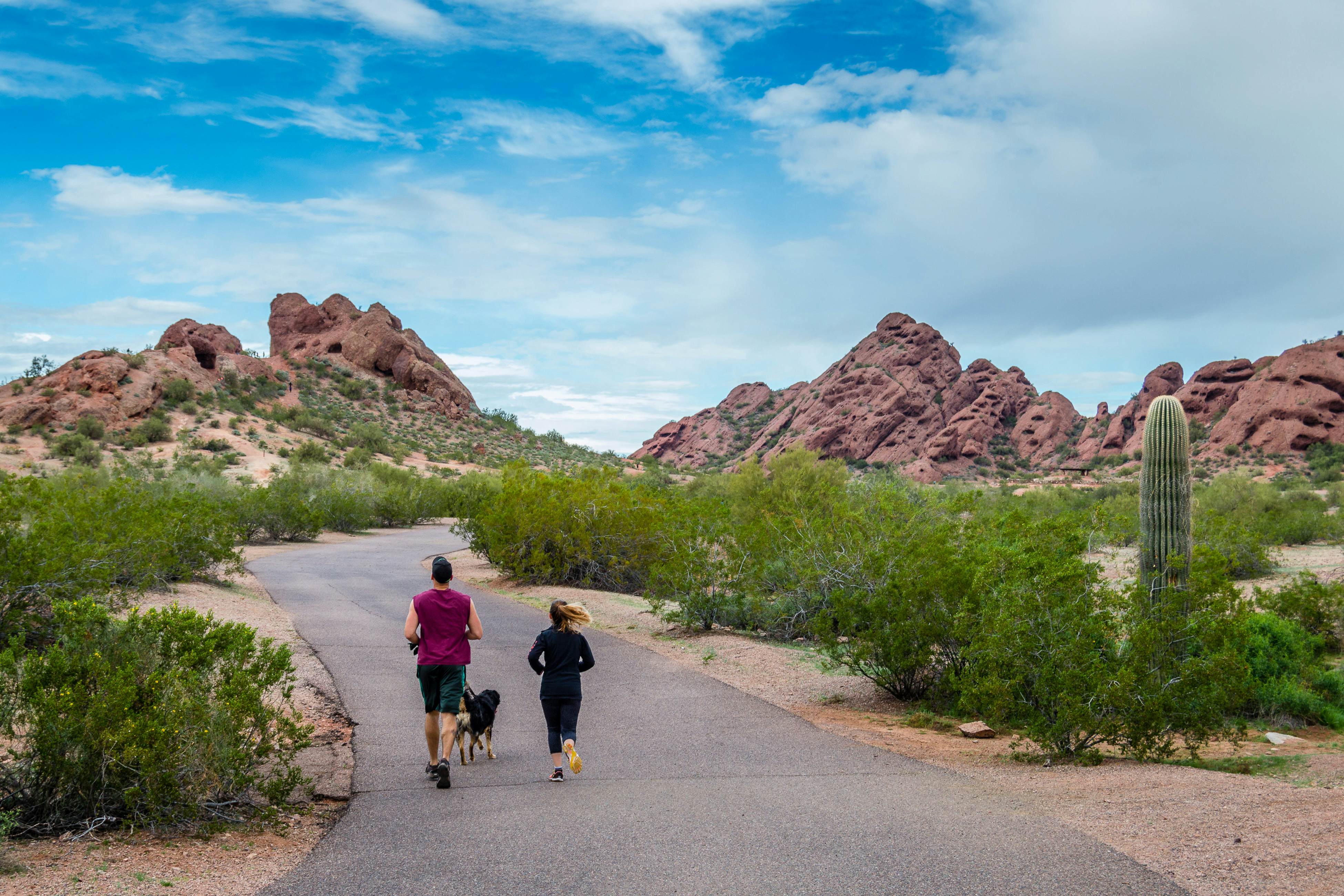 Breezy Desert Retreat