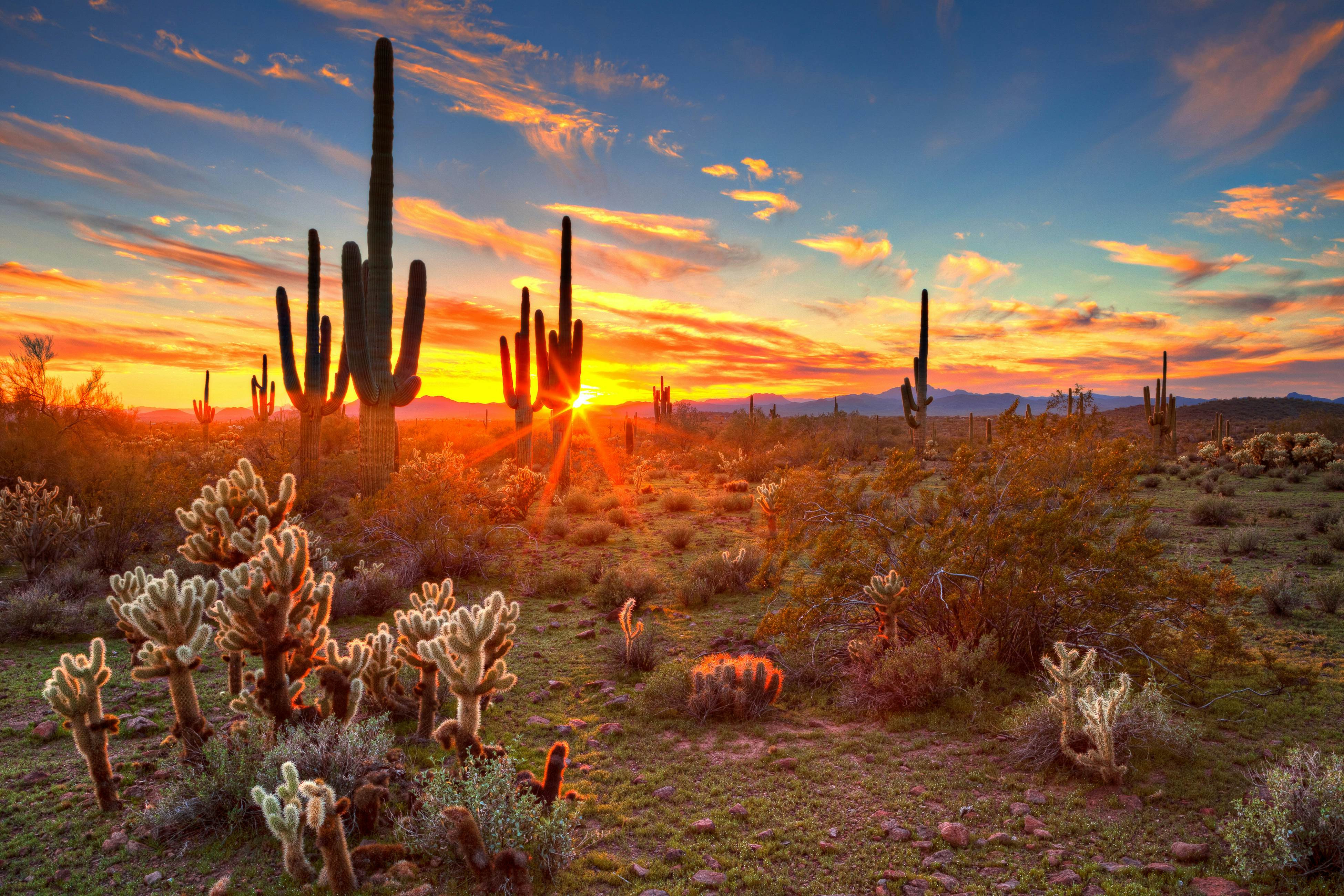 Breezy Desert Retreat