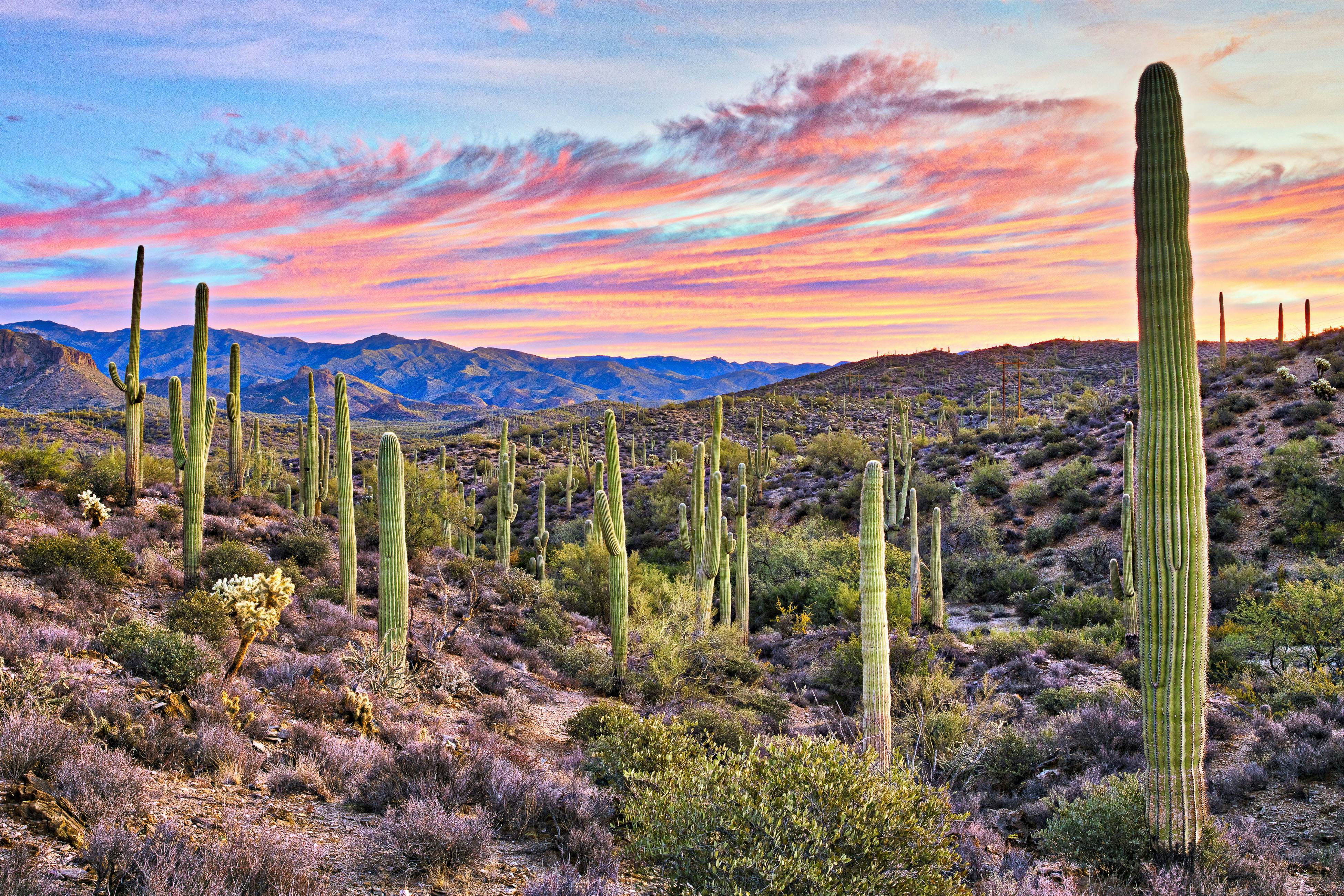 Breezy Desert Retreat