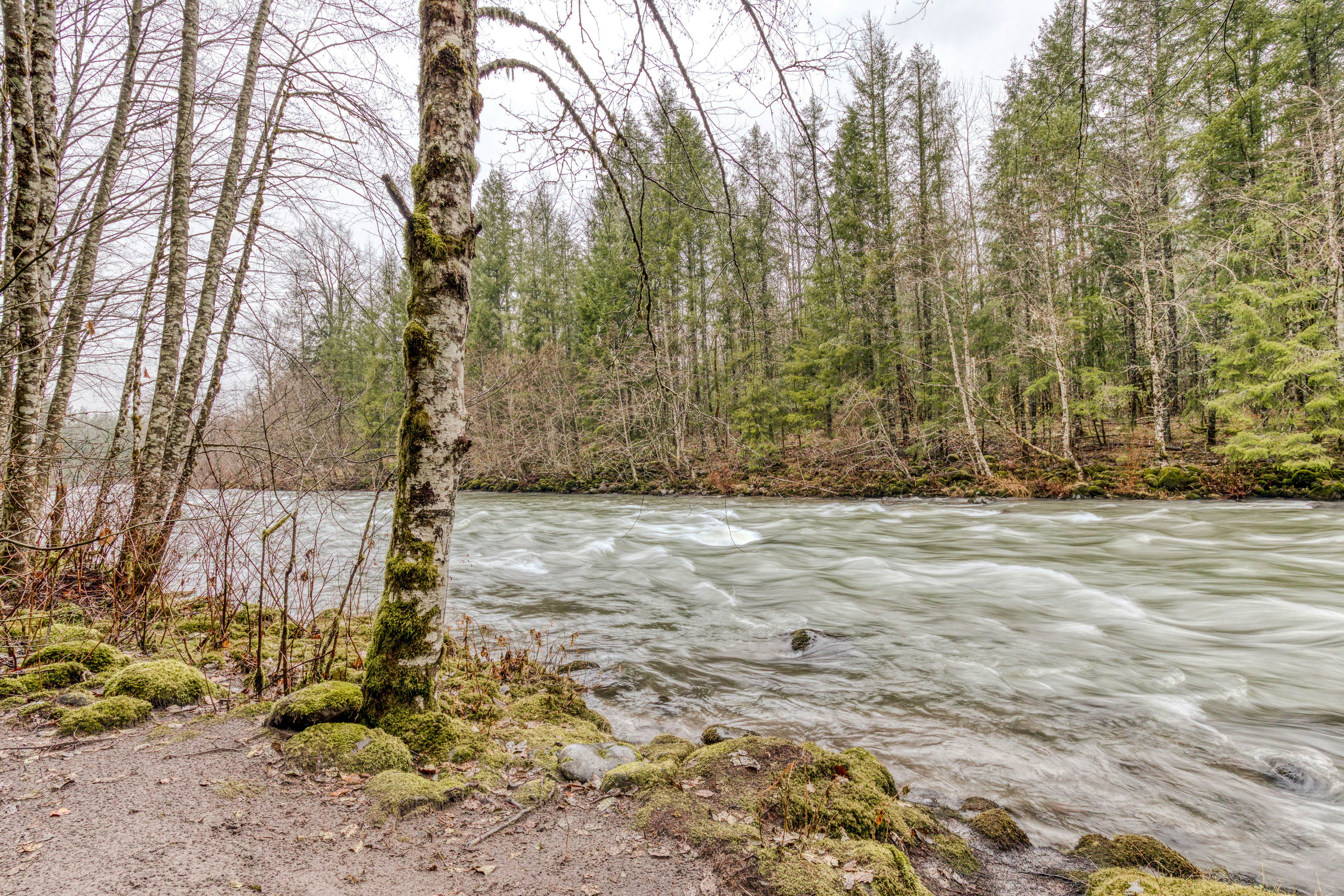 Campfire Cabin on the River
