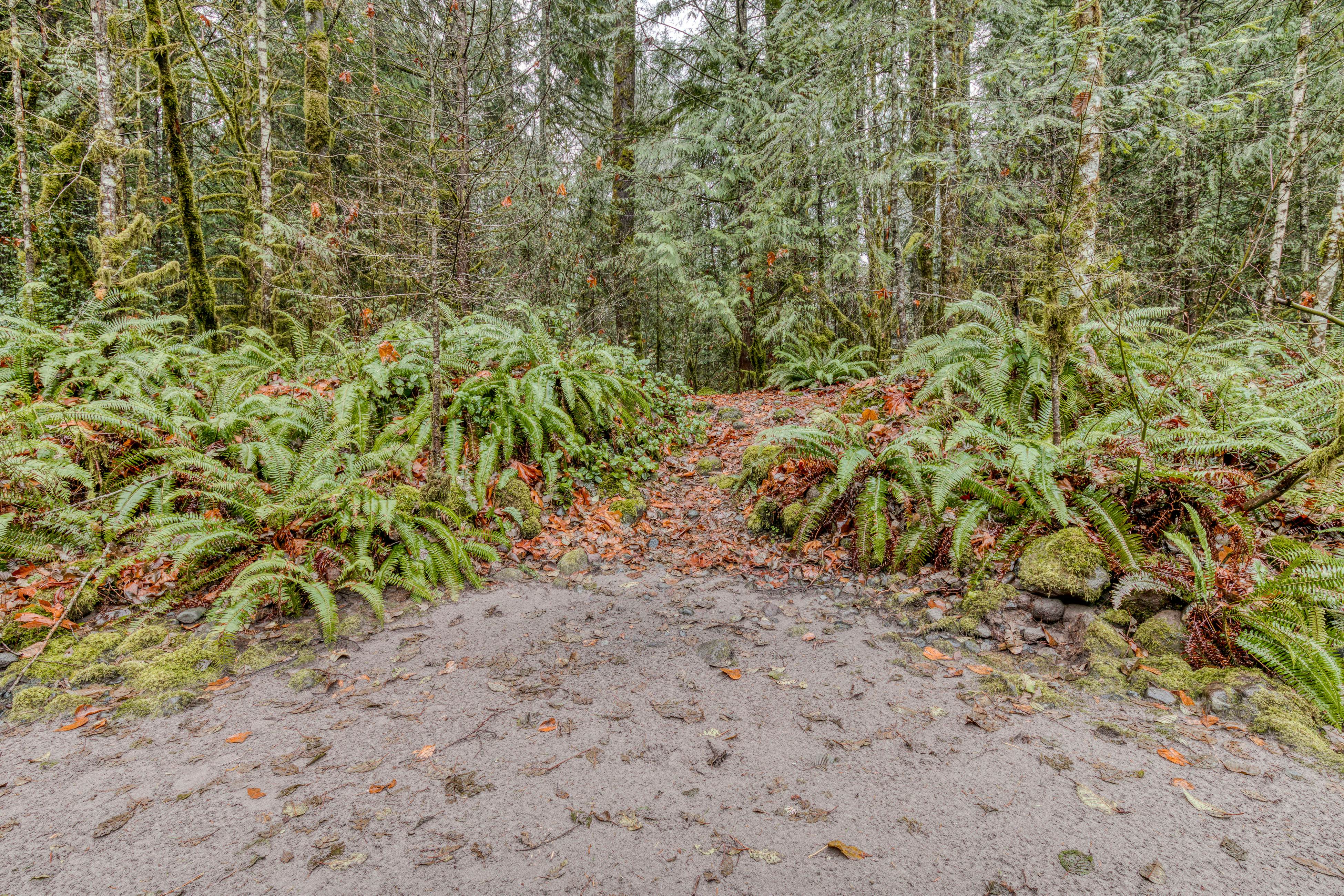 Campfire Cabin on the River