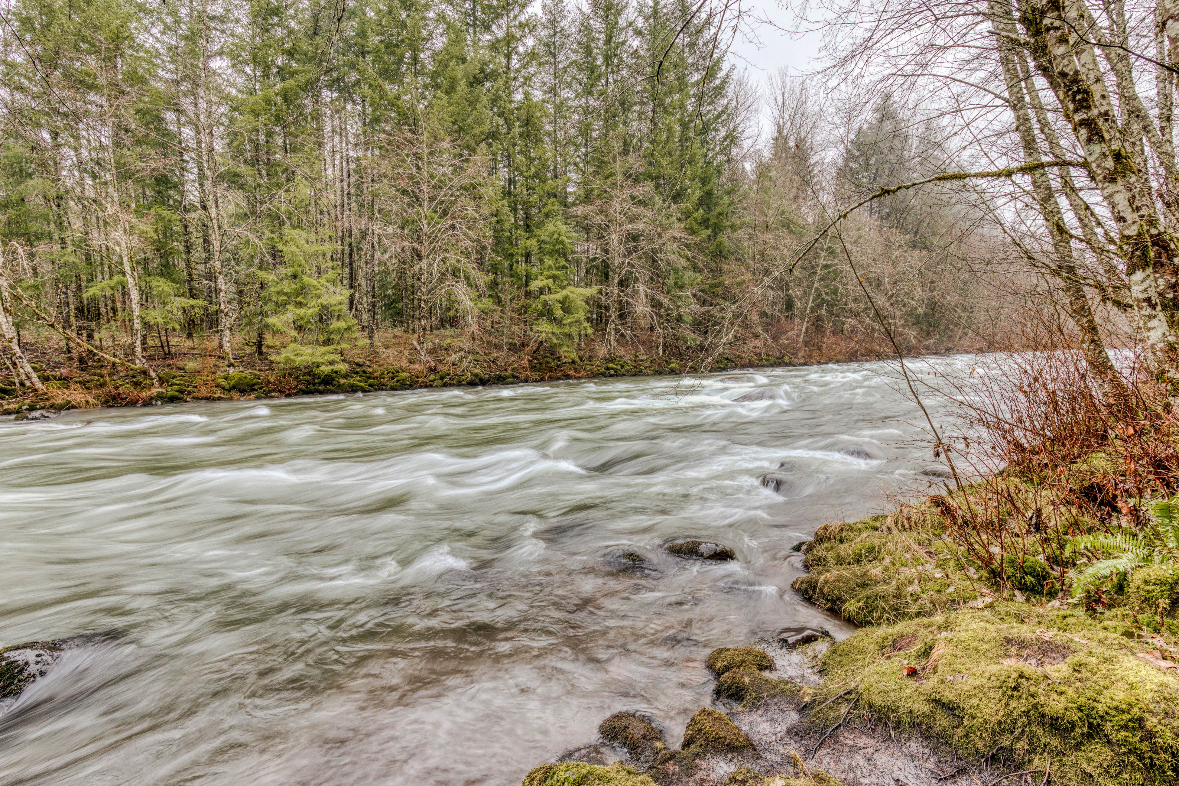 Campfire Cabin on the River