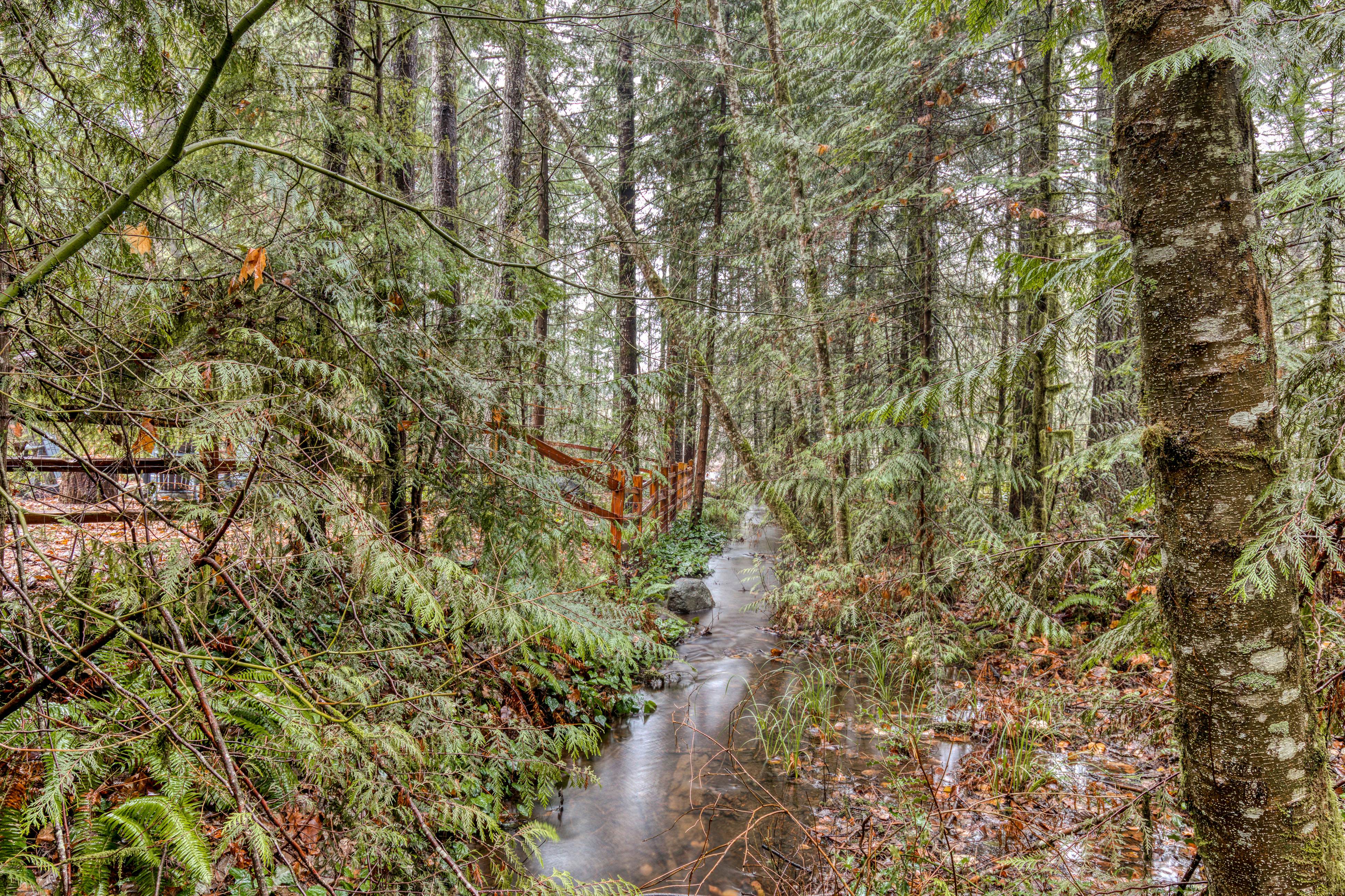 Campfire Cabin on the River