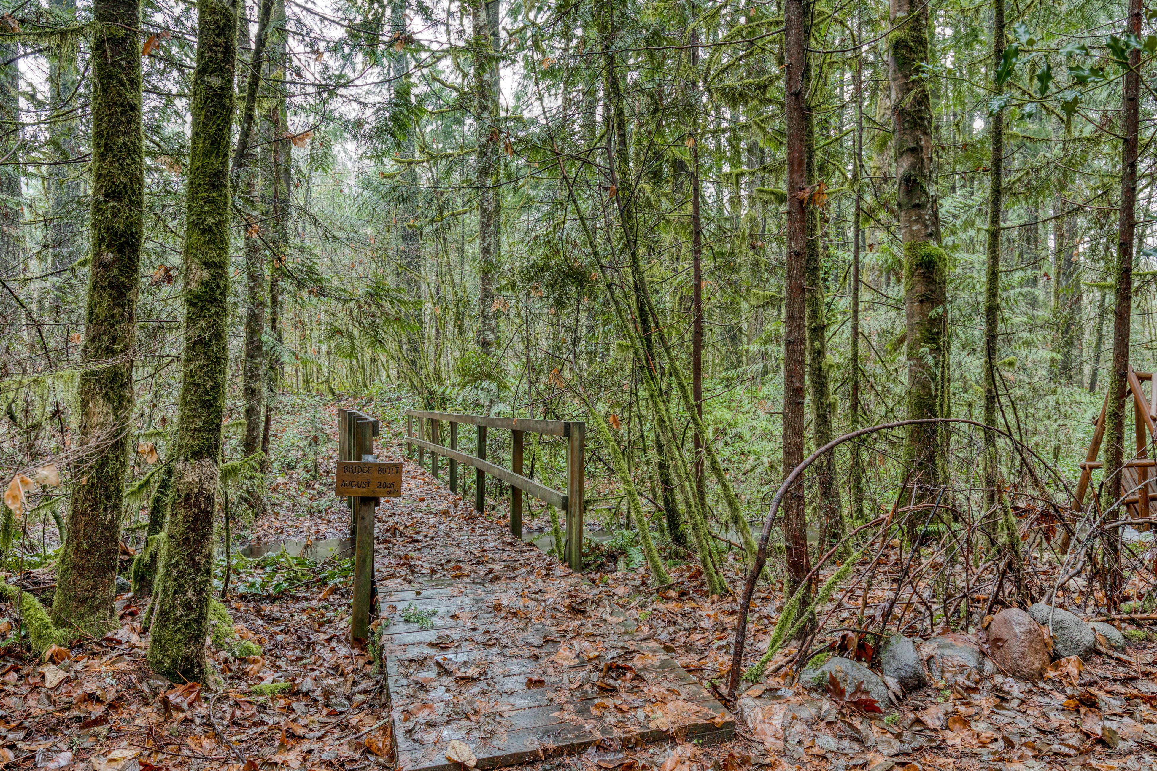 Campfire Cabin on the River
