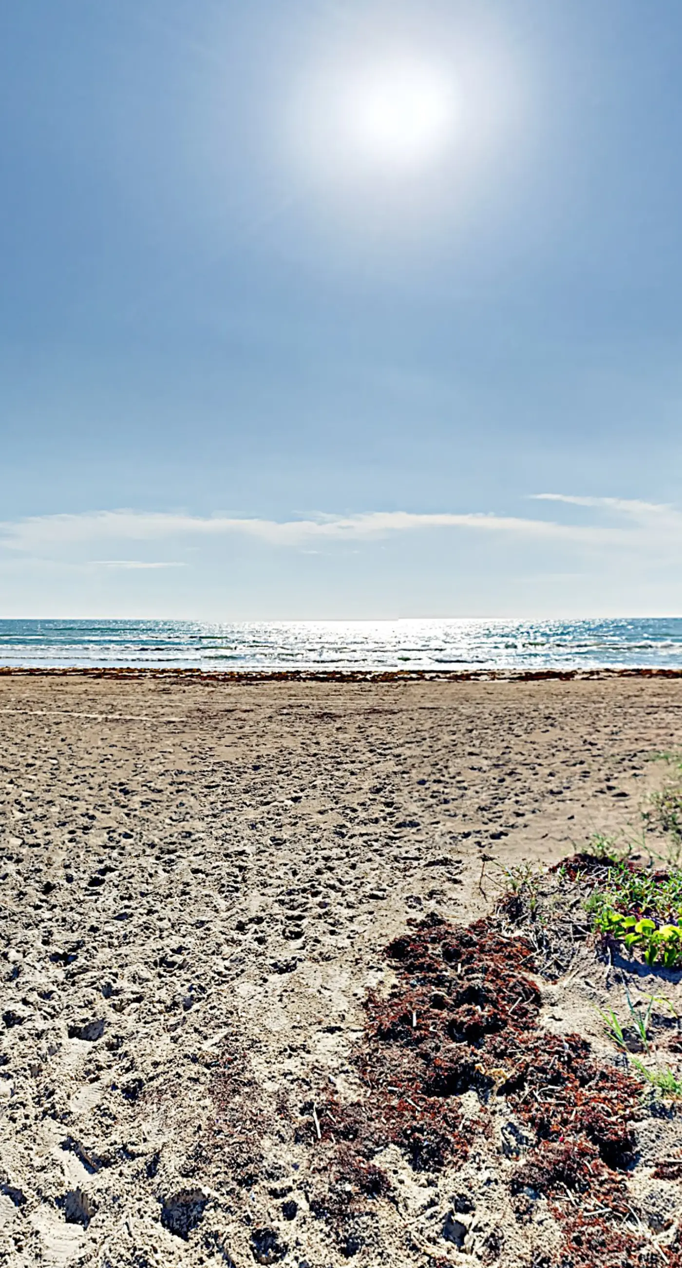 Suntide II Condominiums #207