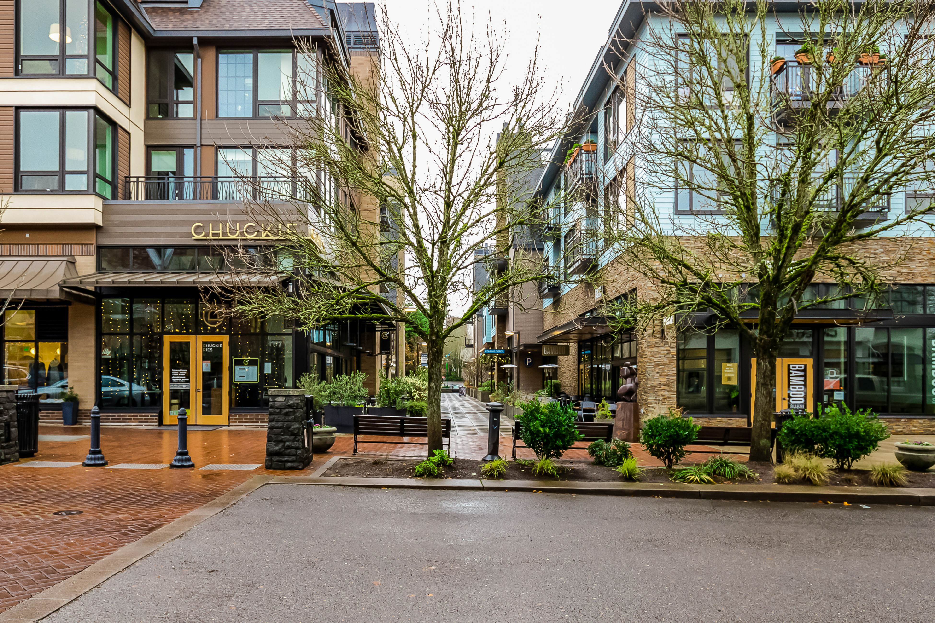 Lake Oswego Mid-Century