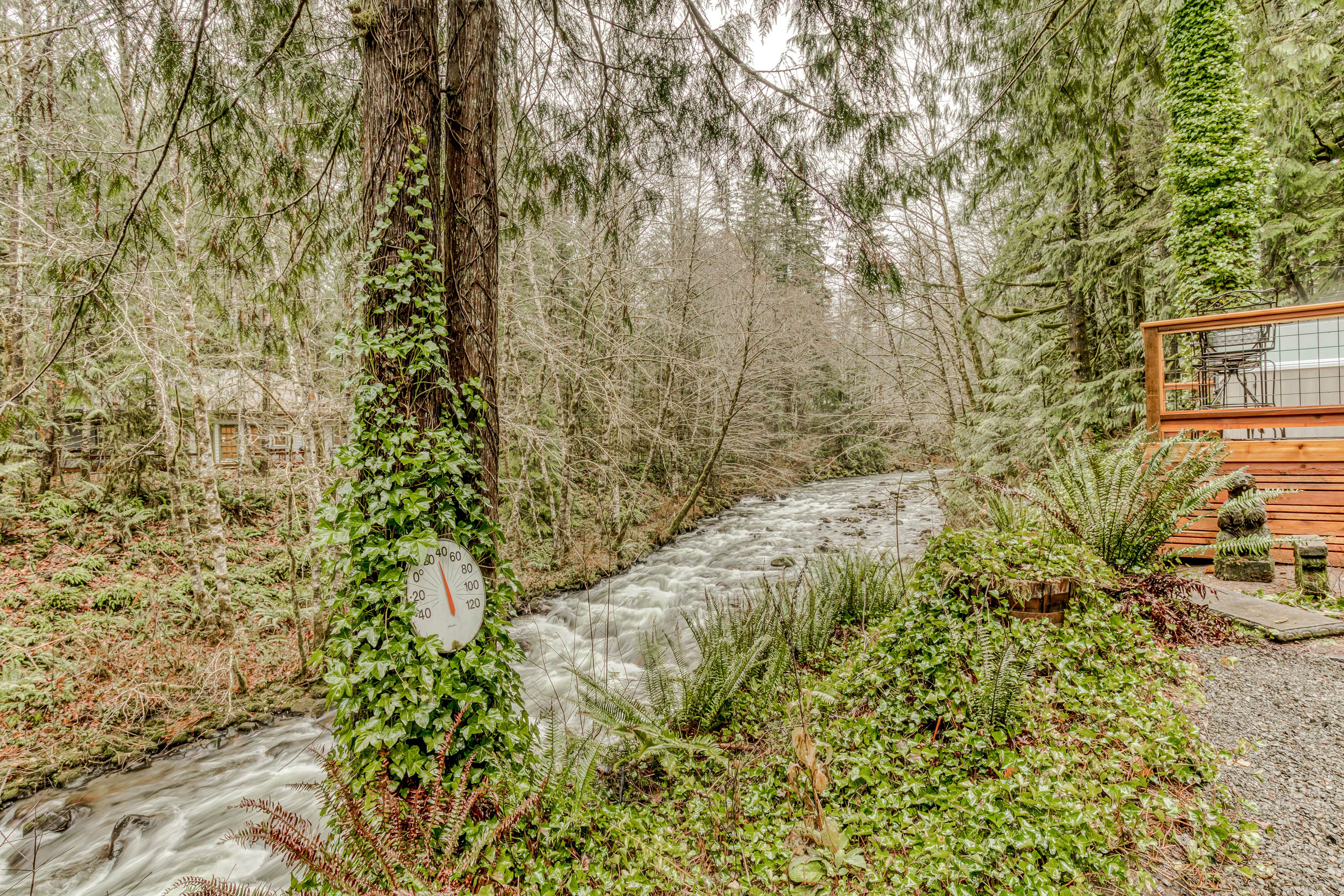 Hygge Cabin On The River