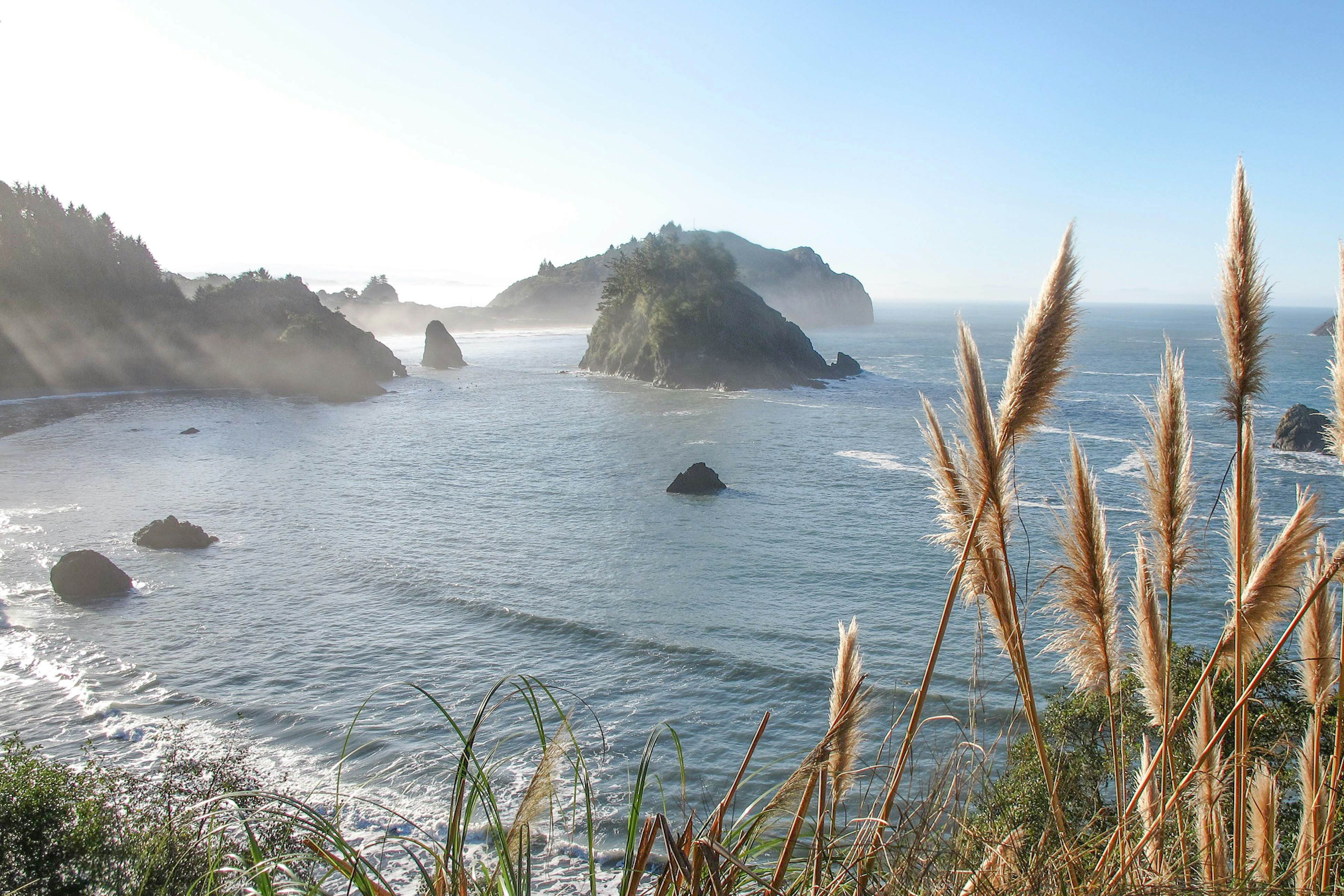 Alder Cottage 1 BD Trinidad, CA Vacation Rental Vacasa