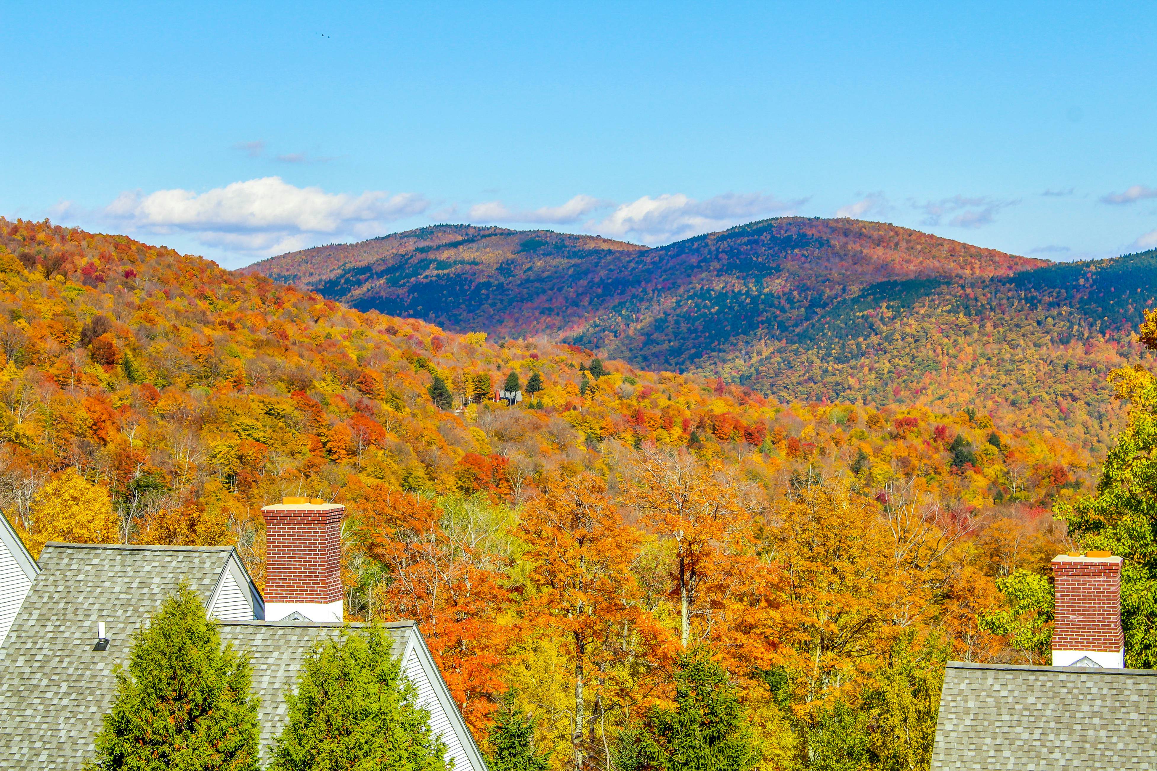 Sunrise - East Glade-C7