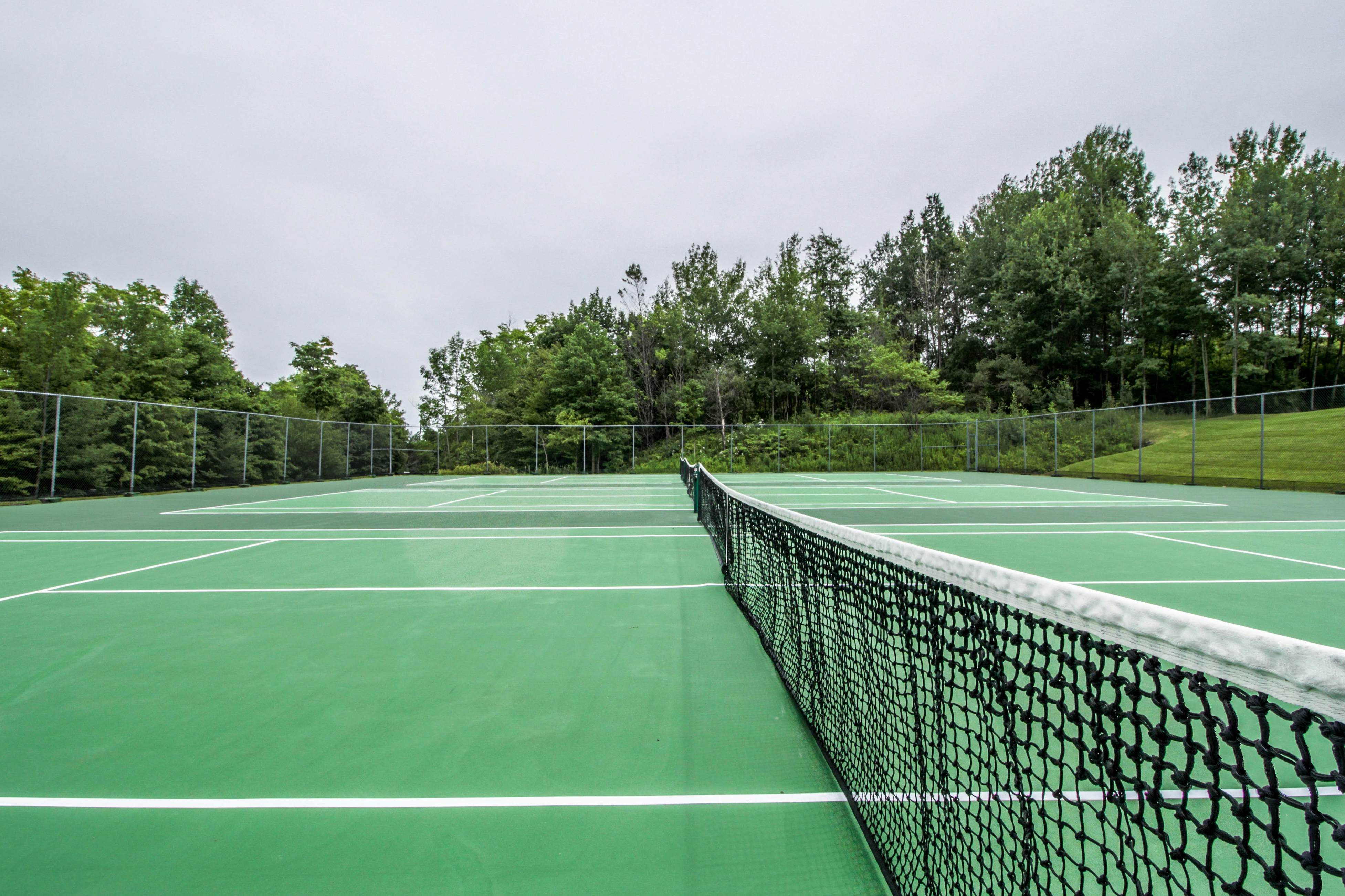 Sunrise - East Glade-C7