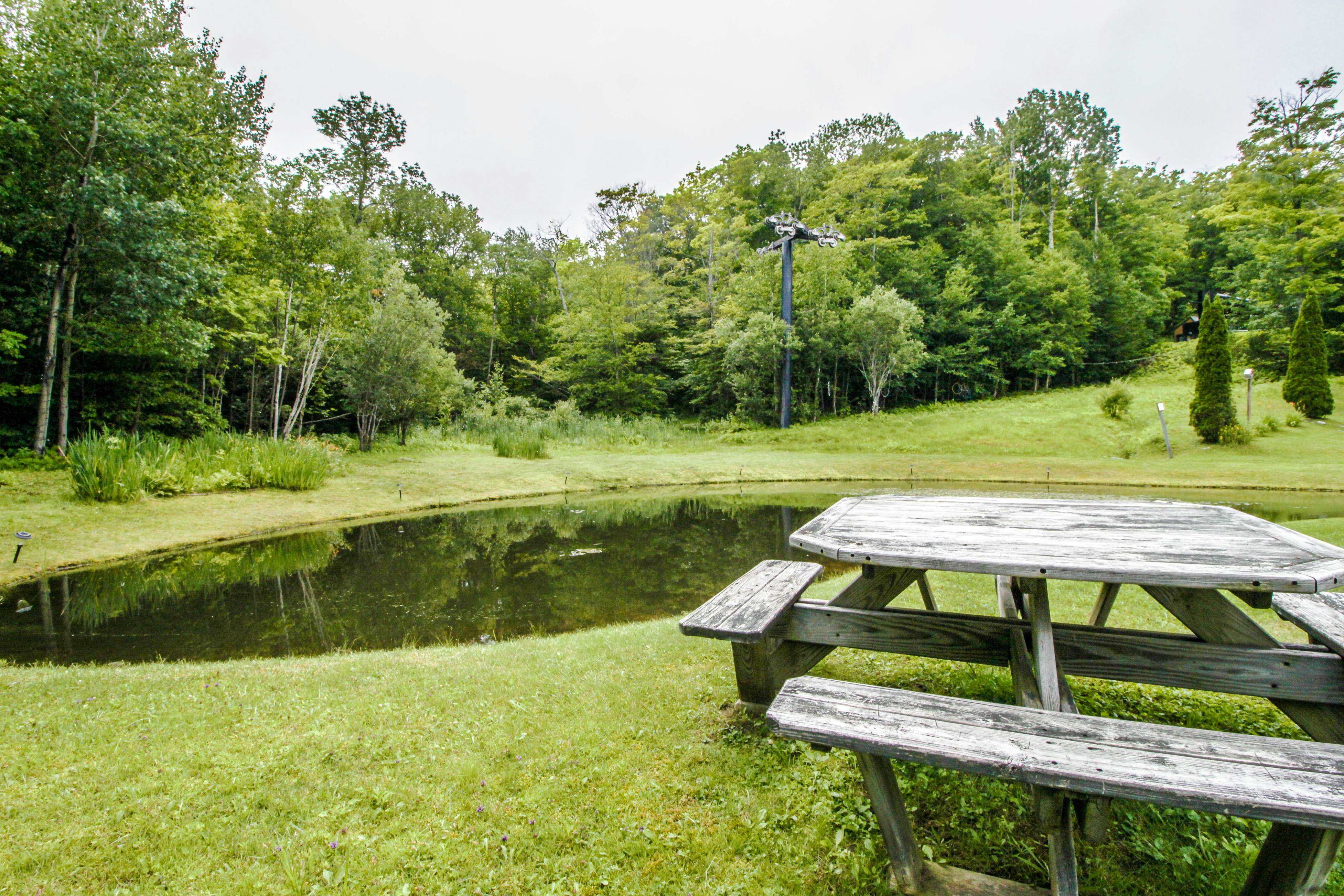 Sunrise - East Glade-C7