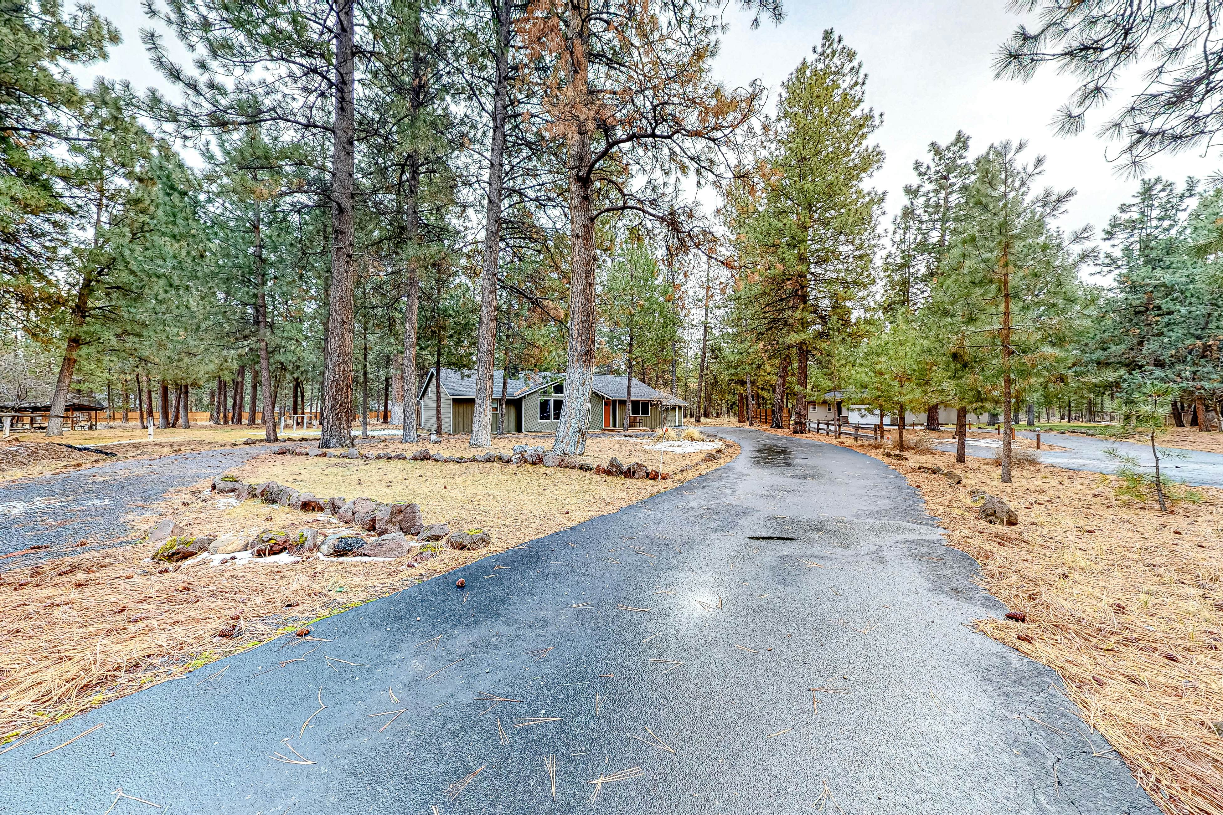 Retreat in the Pines