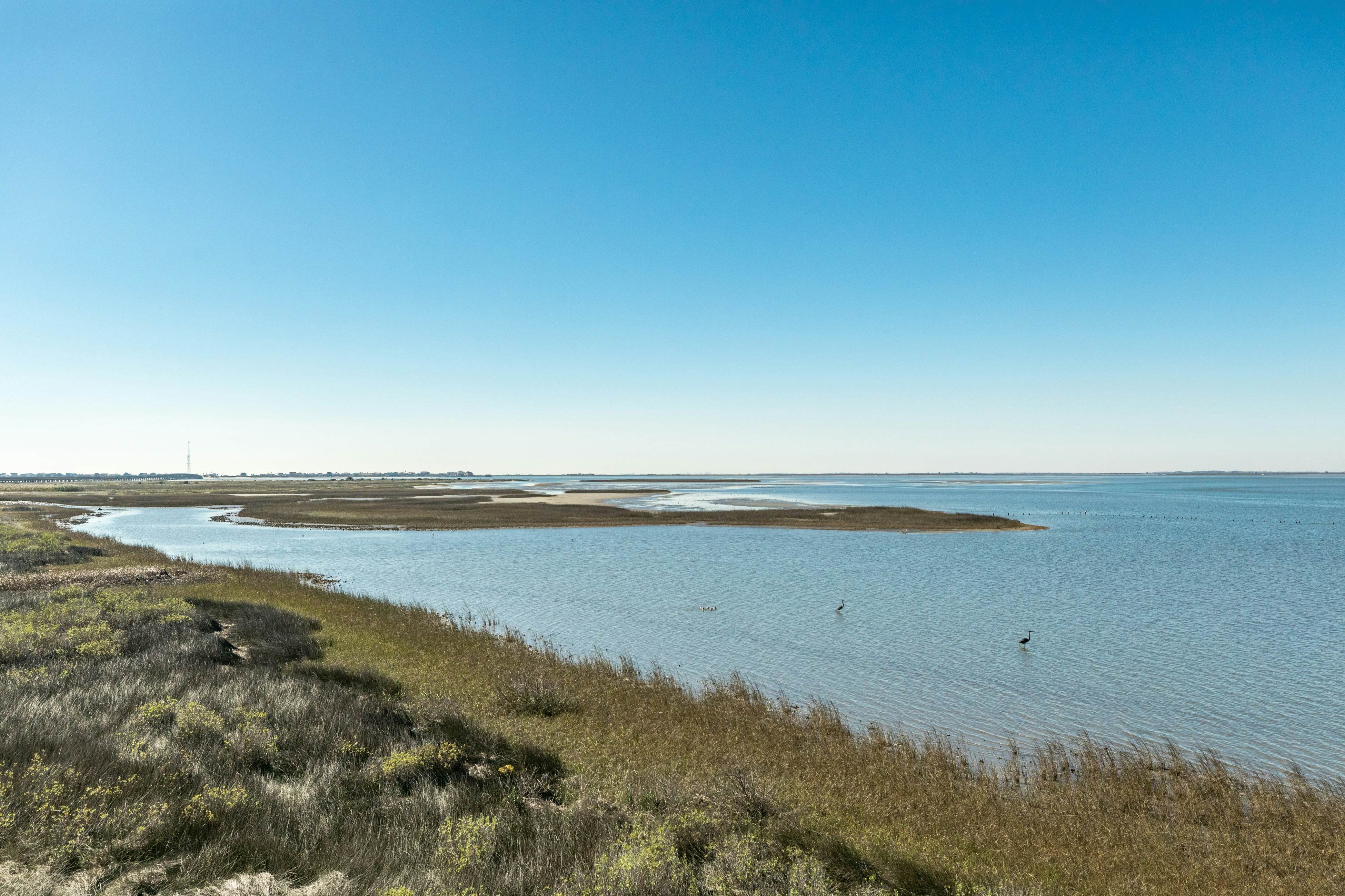Pointe West Resort Blue Claws