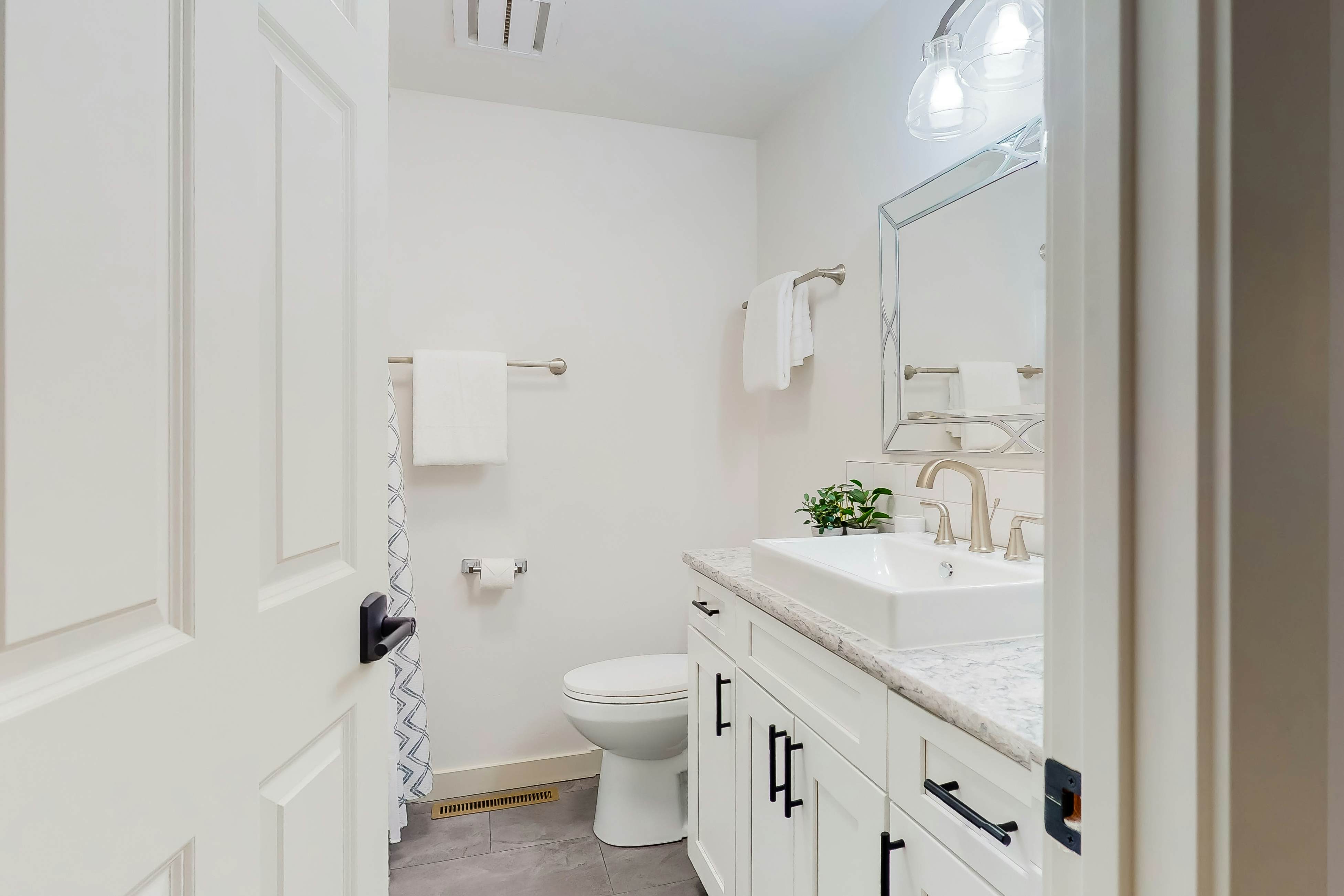 Retreat in the Pines