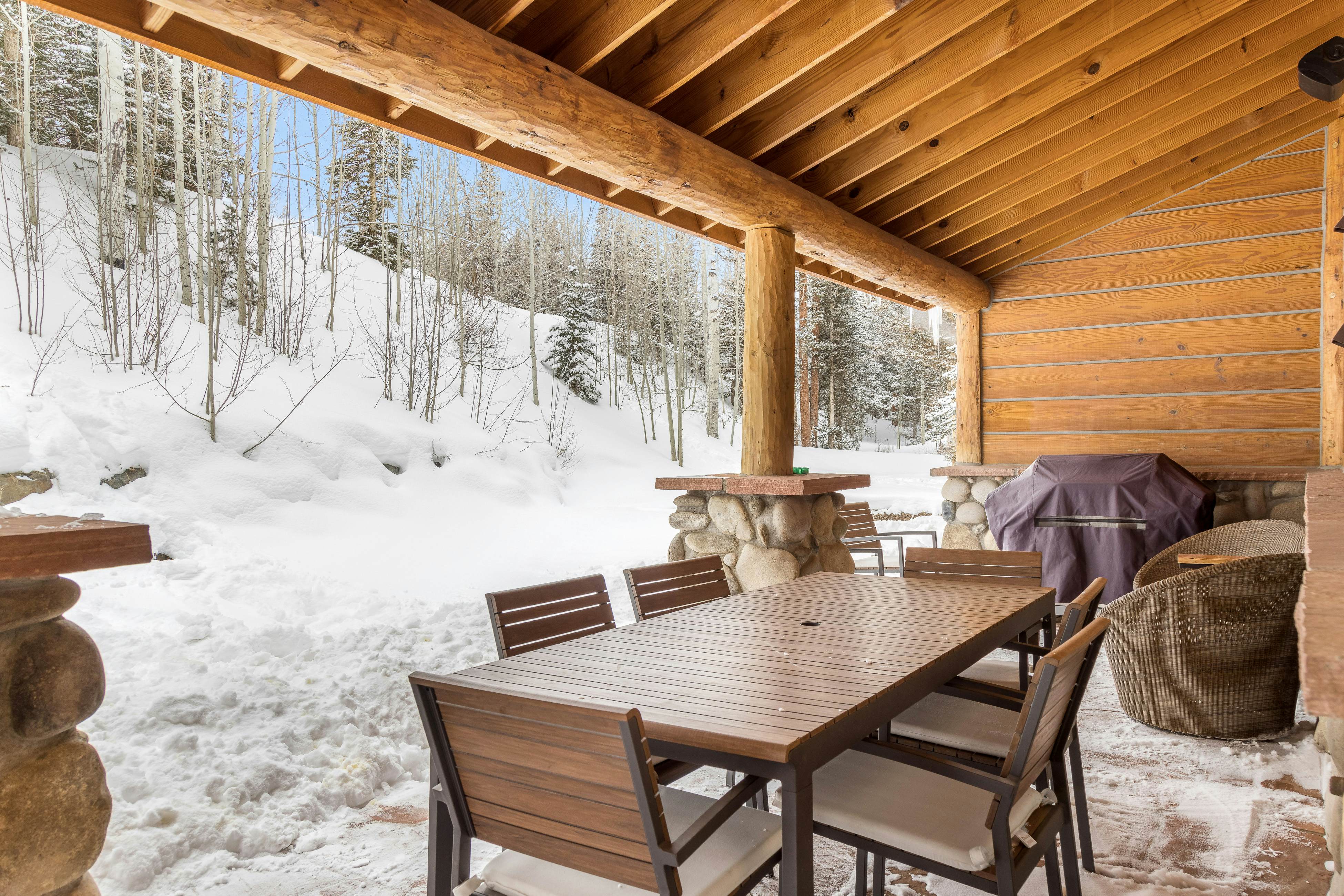 Palmyra 94 - Mountain Tranquility