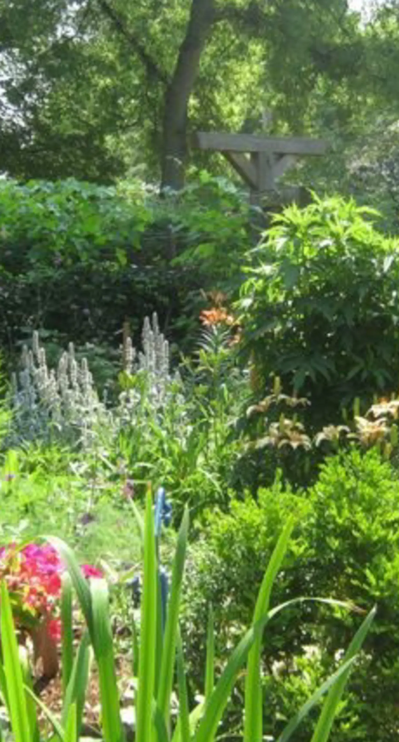 Little House Nashville Guest House 1 BD Nashville, TN Vacation