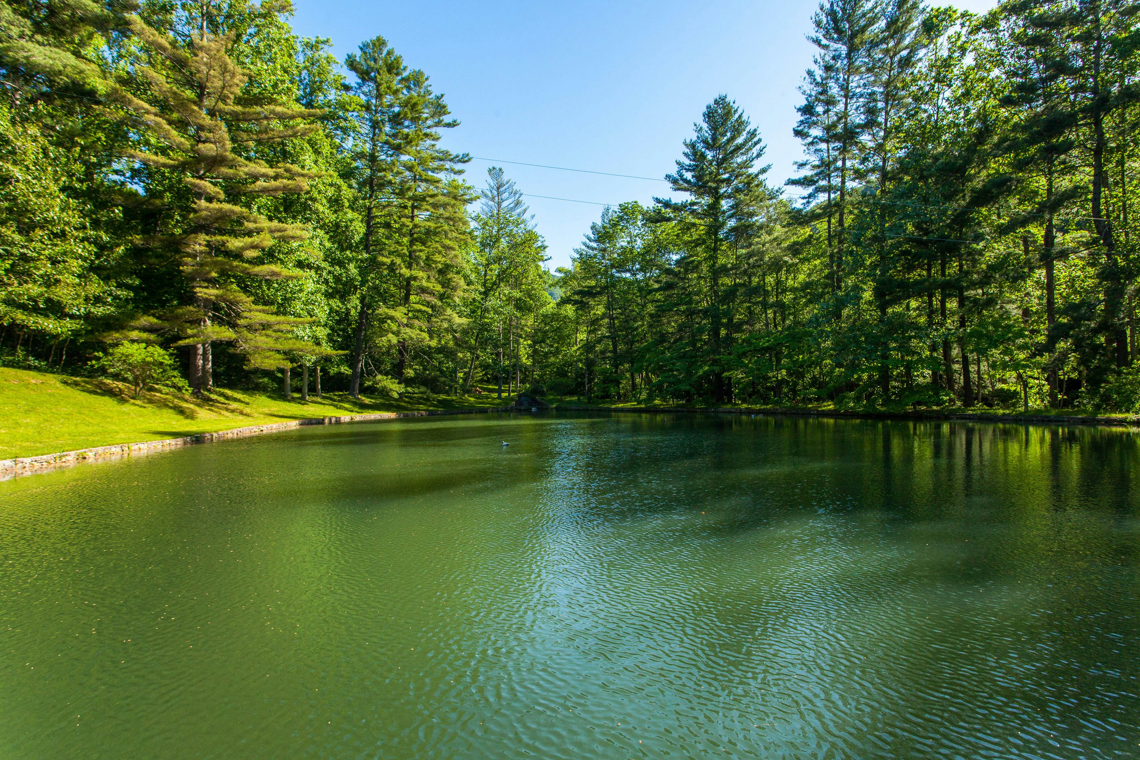 Bull Creek Peaceful Escape
