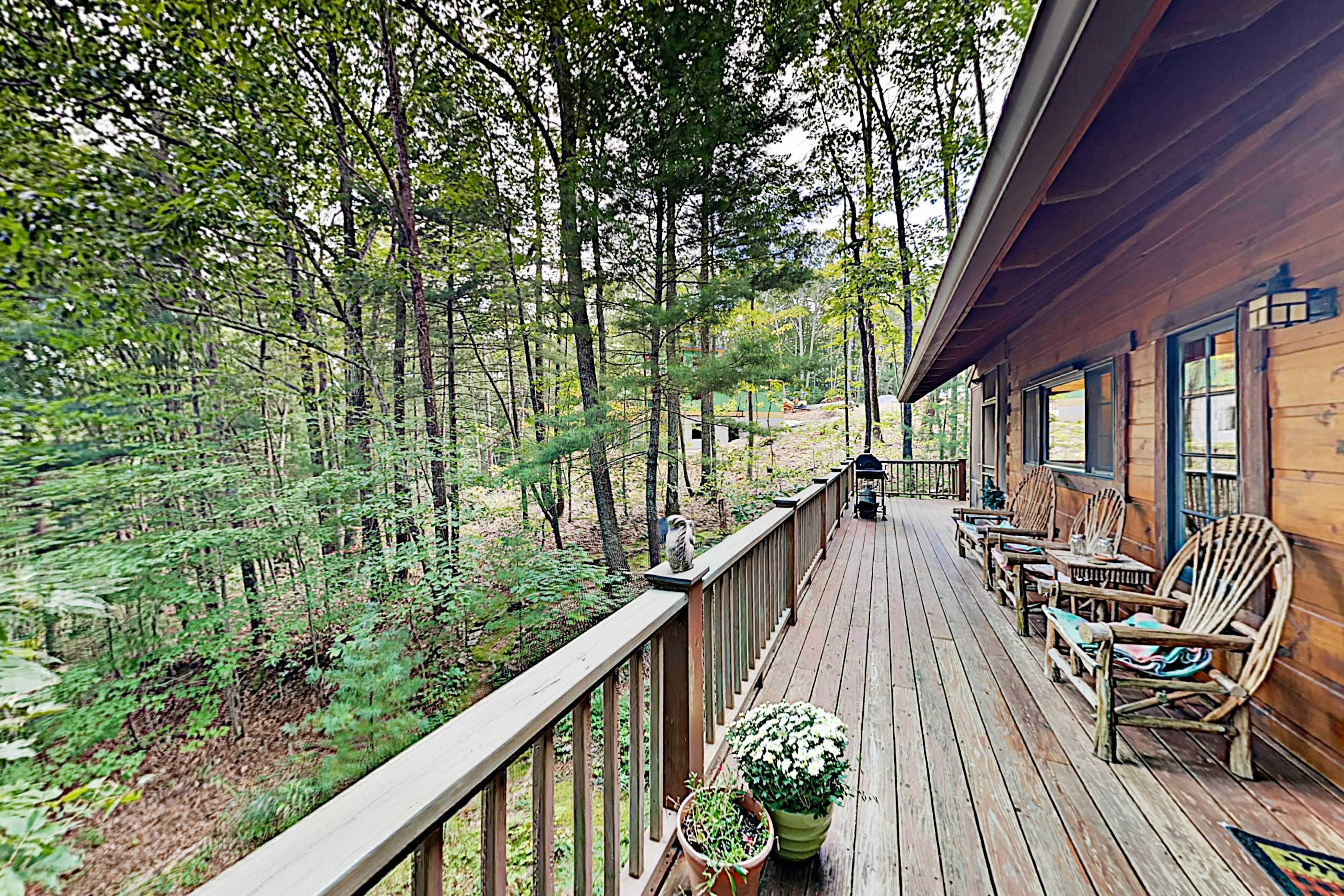 Elkhorn Cabin 2 BD Asheville, NC Vacation Rental Vacasa