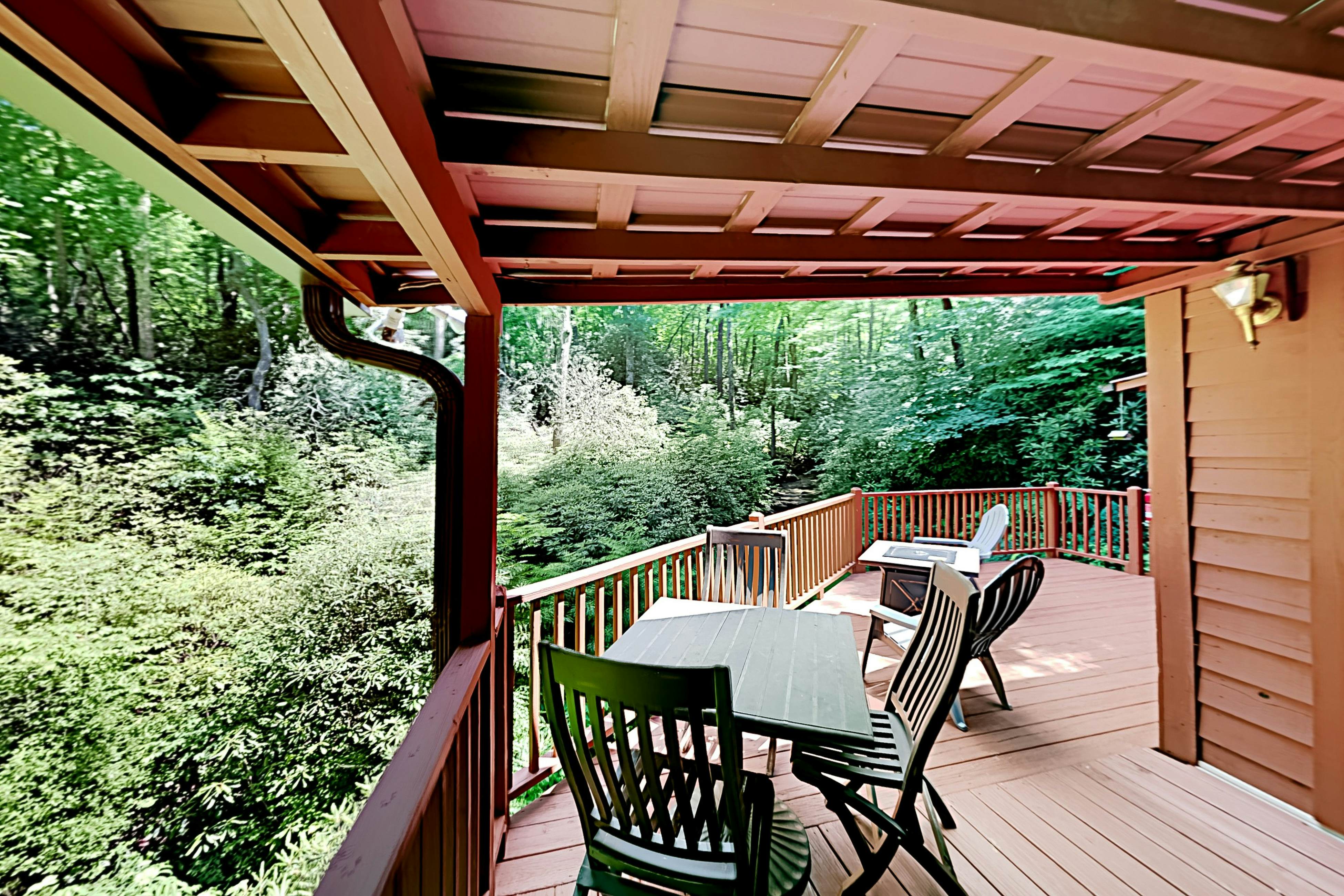 Angel Falls 2 BD Gerton, NC Vacation Rental Vacasa