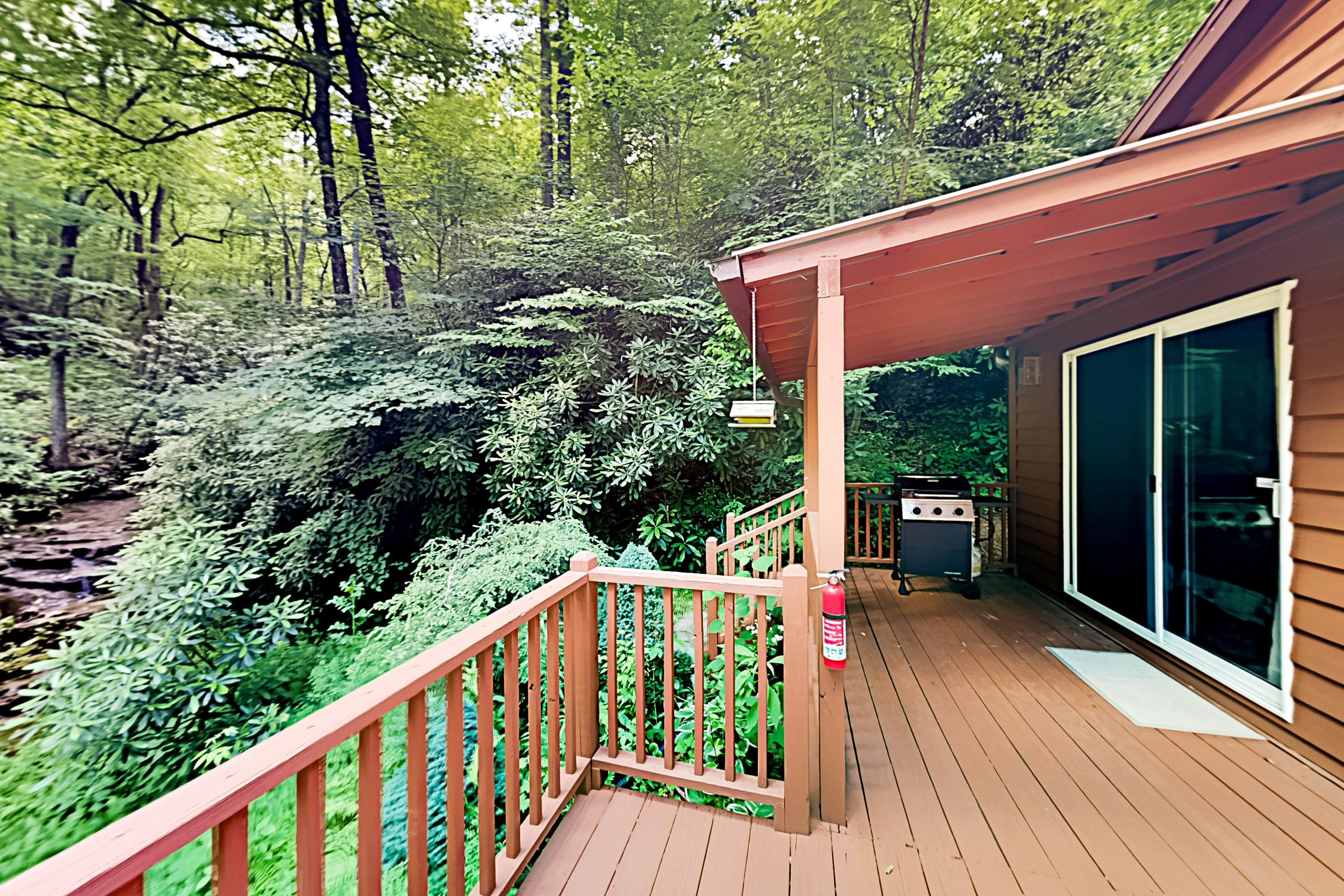 Angel Falls 2 BD Gerton, NC Vacation Rental Vacasa