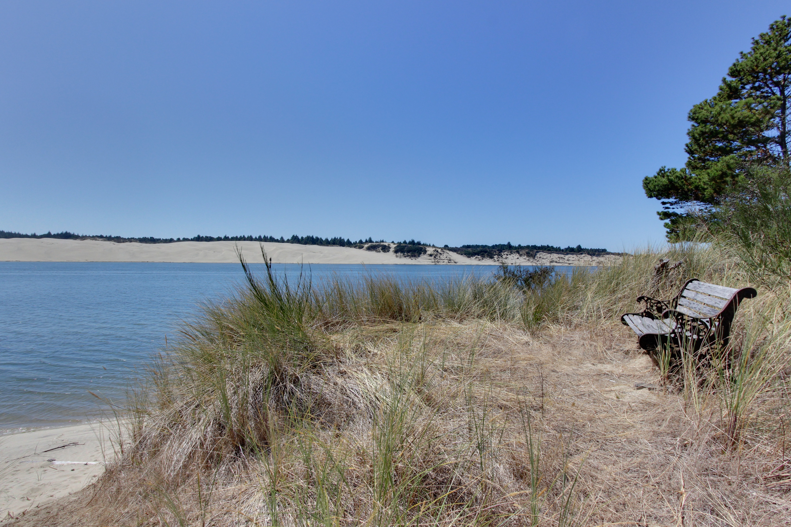 Florence Vacation Rentals Vacasa