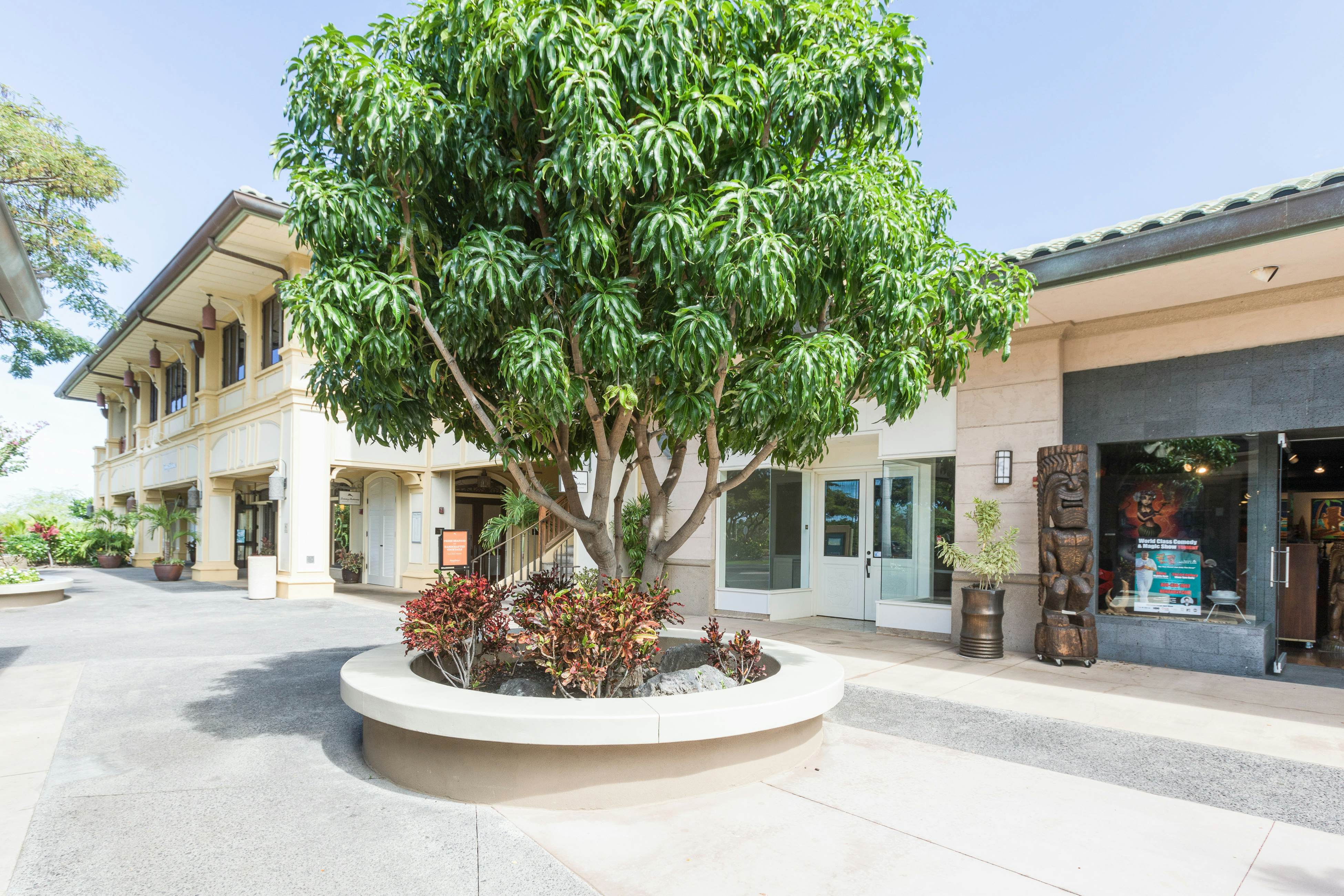 Mauna Lani Fairways 1401