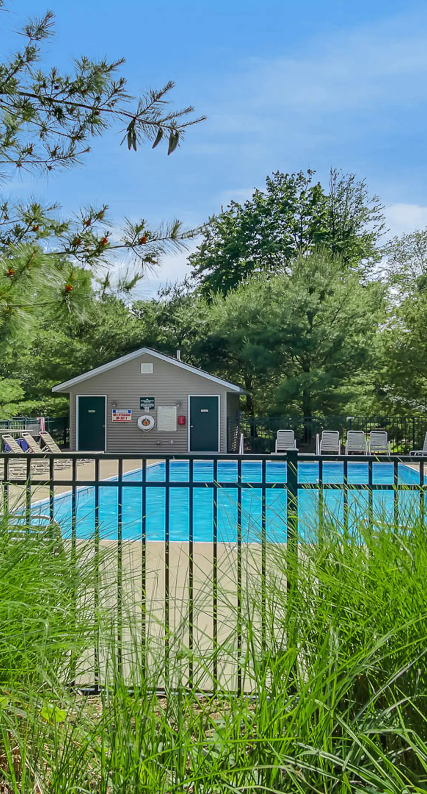 Kingfisher Cove Cabin 19 3 BD Saugatuck, MI Vacation Rental Vacasa