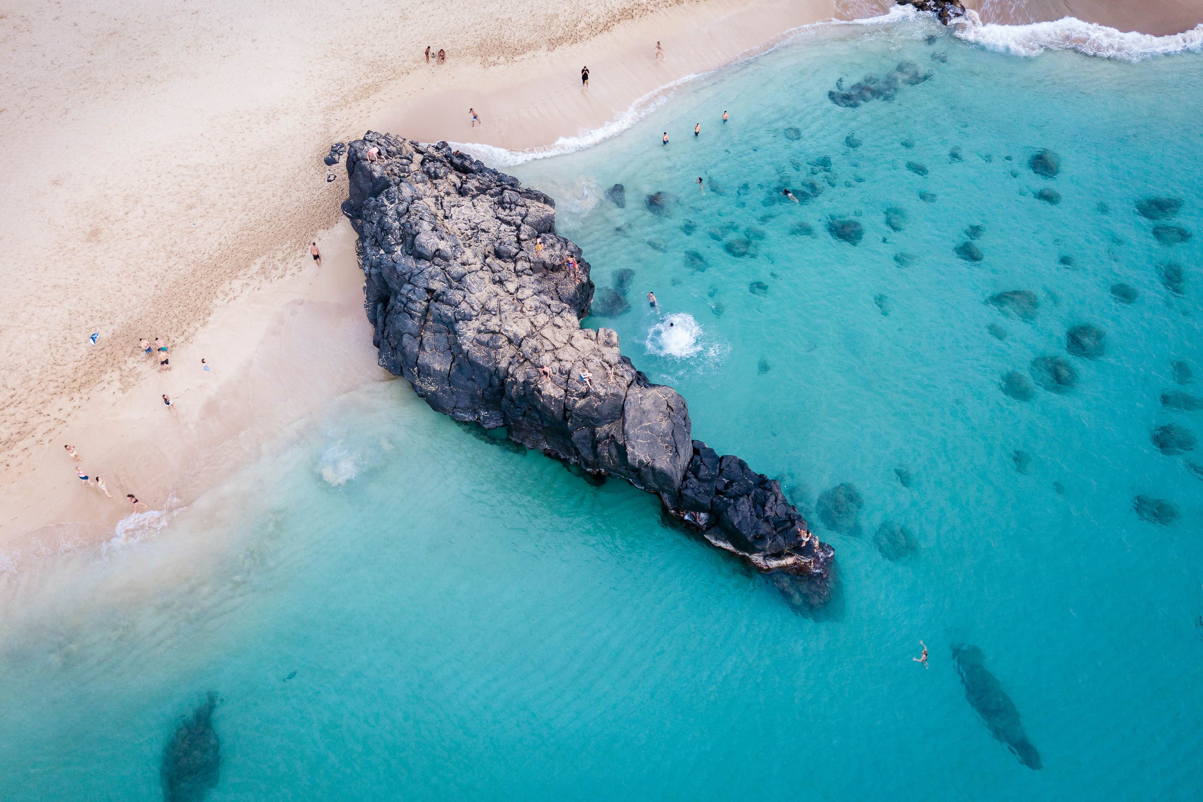 Scandia Towers 502 2 BD Honolulu, HI Vacation Rental Vacasa