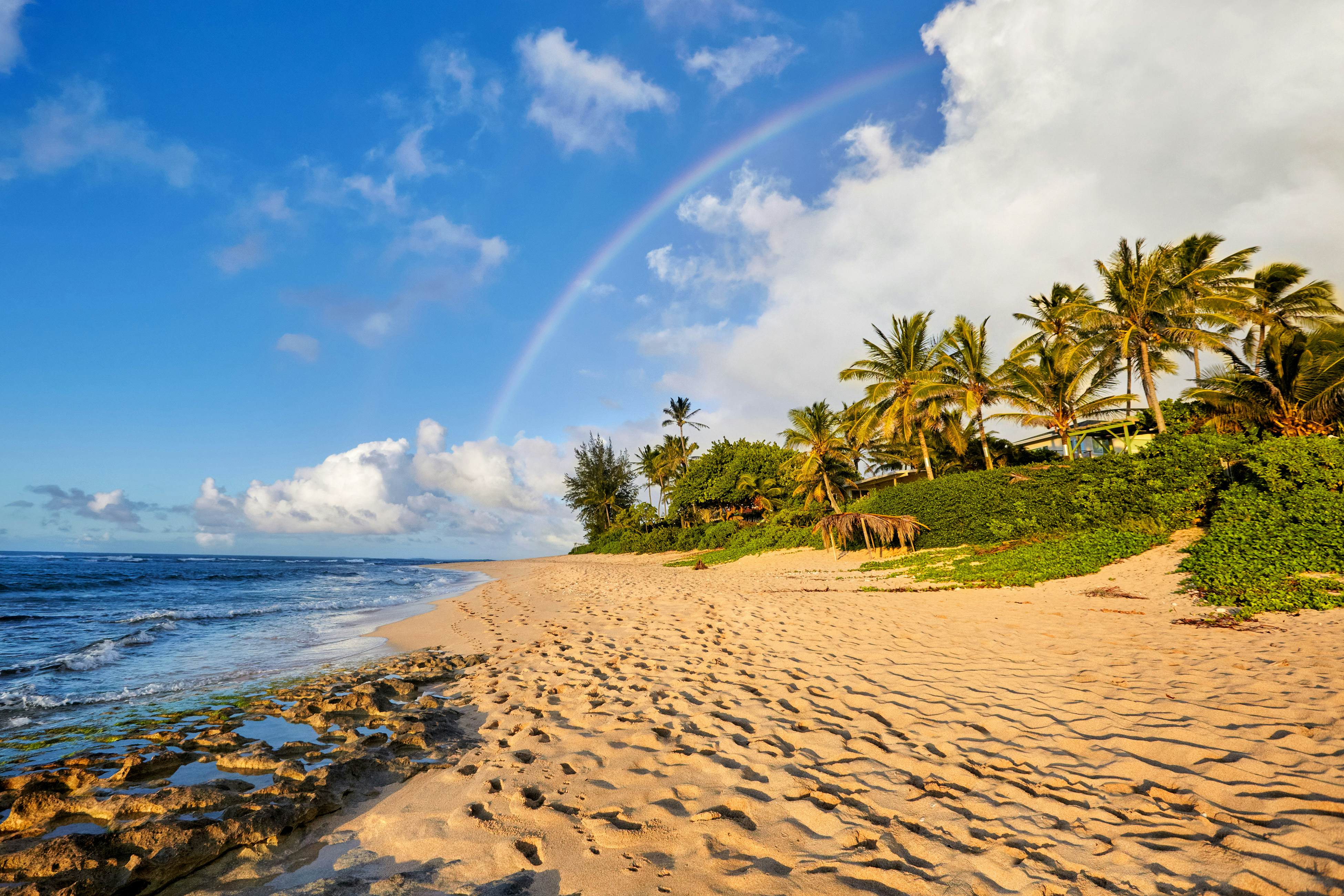 Scandia Towers 502 2 BD Honolulu, HI Vacation Rental Vacasa