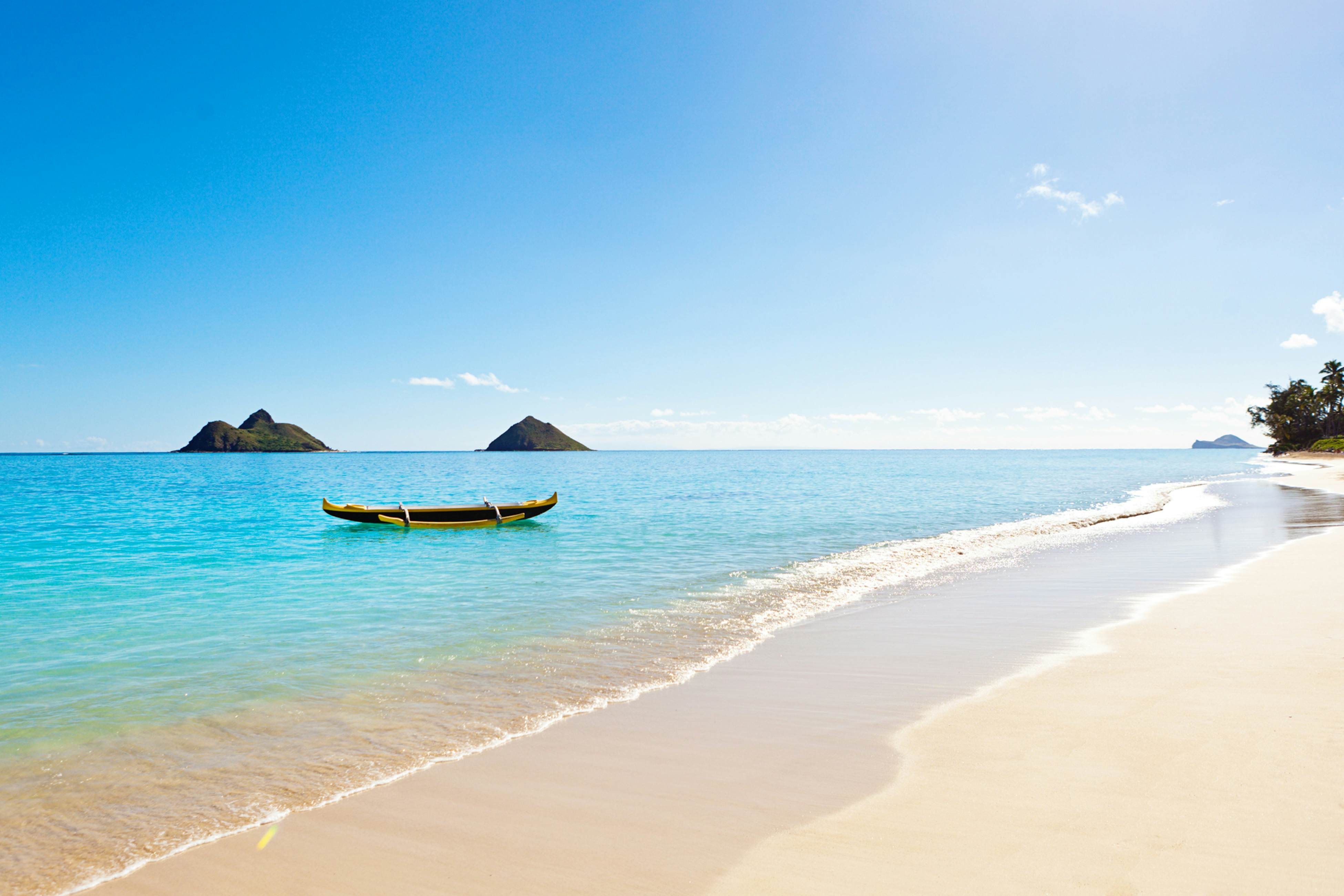 Scandia Towers 502 2 BD Honolulu, HI Vacation Rental Vacasa