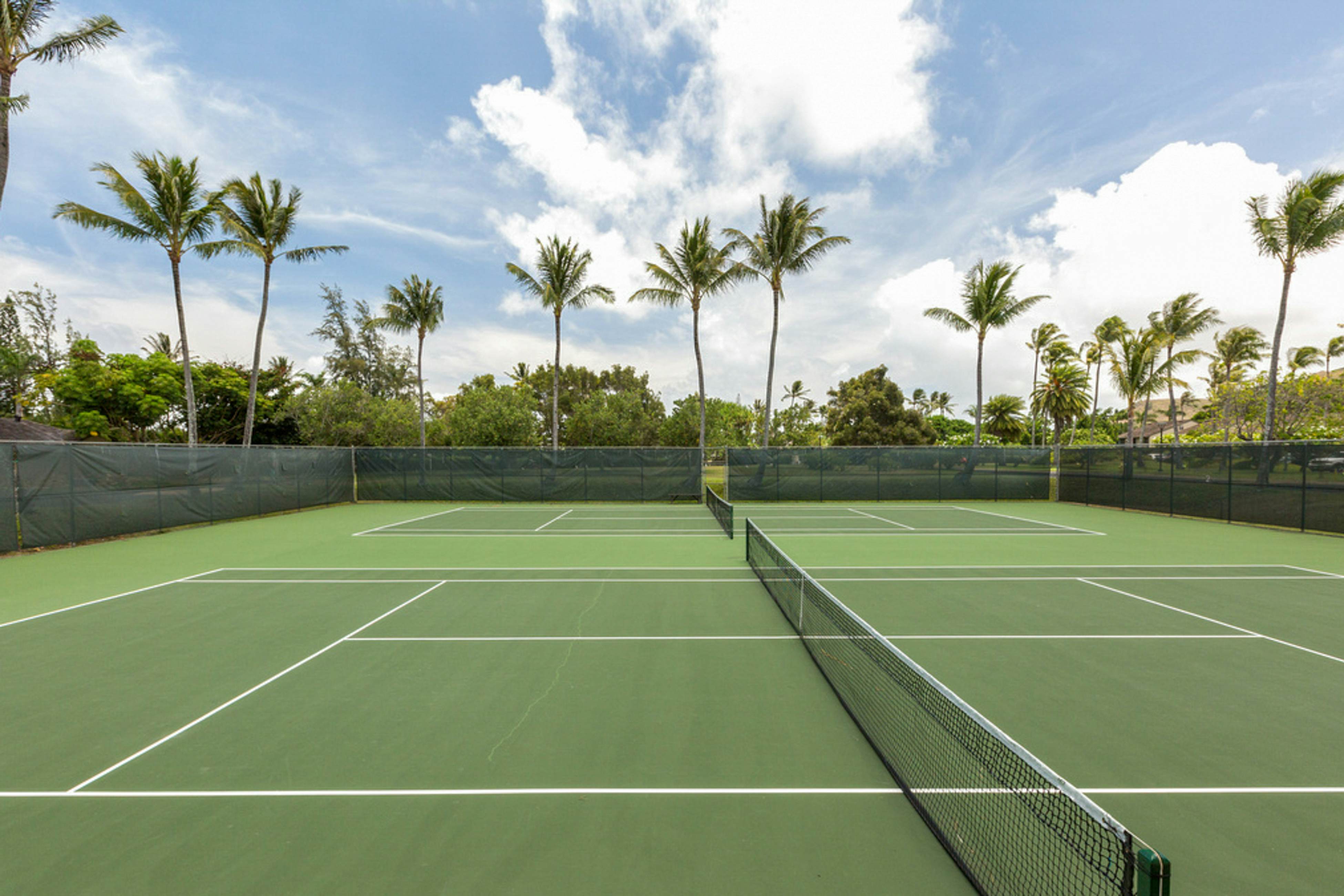 Turtle Bay Resort 166