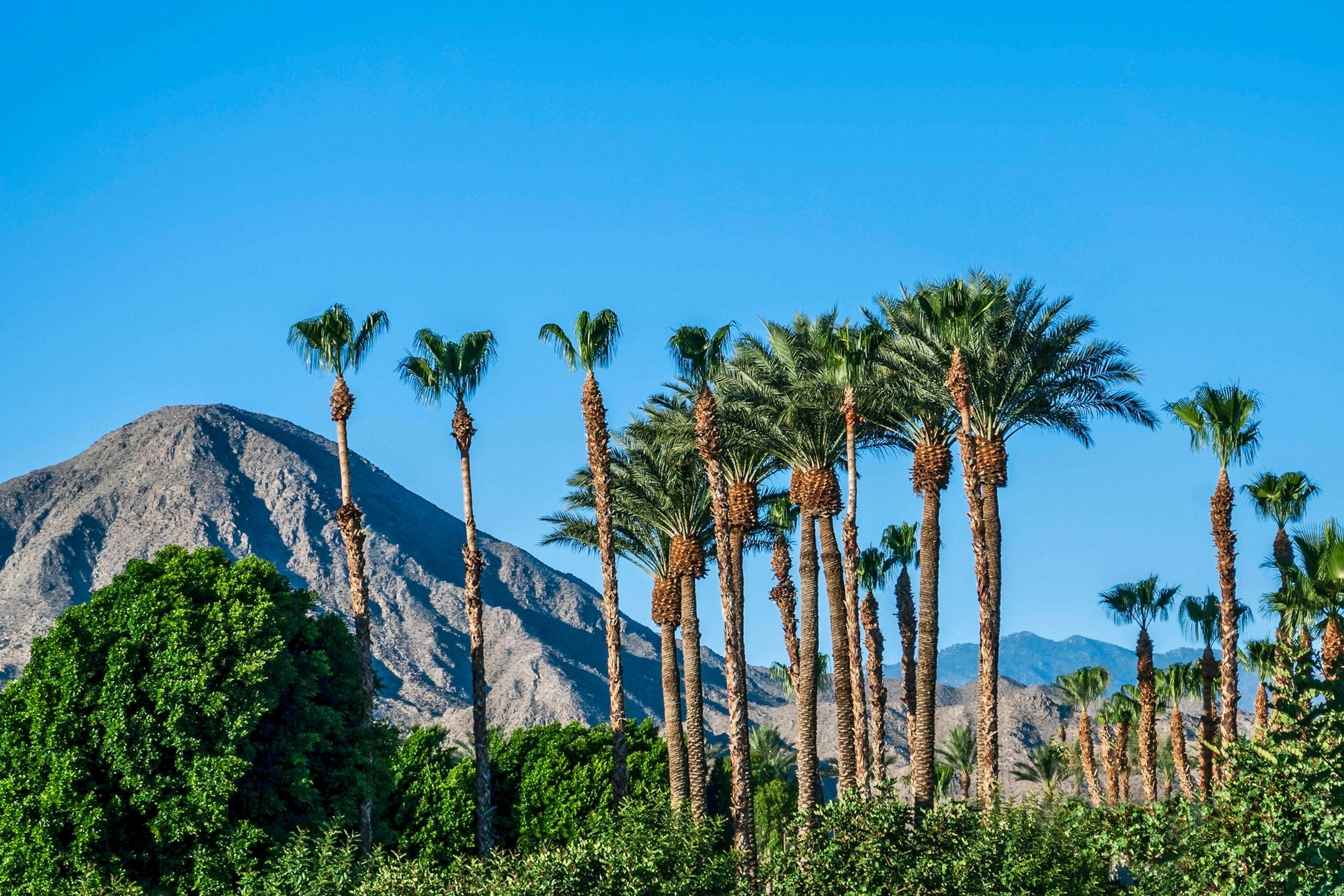 Desert Living Refuge