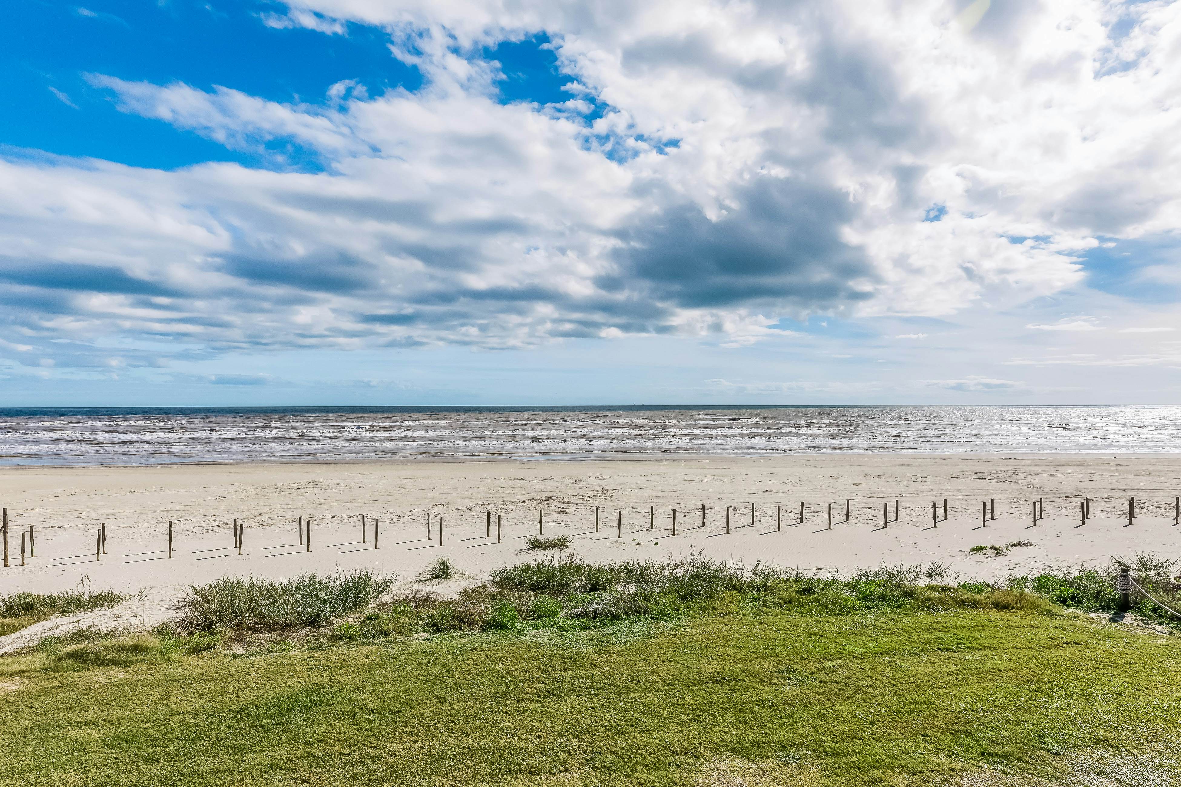 Happy in Margaritaville