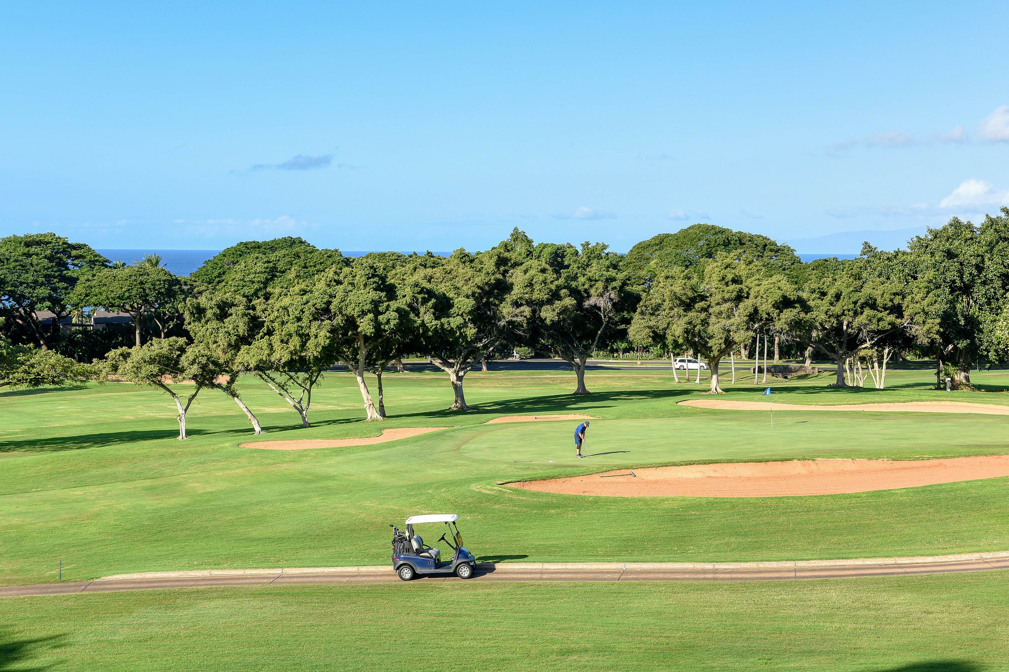 Wailea Grand Champions 146