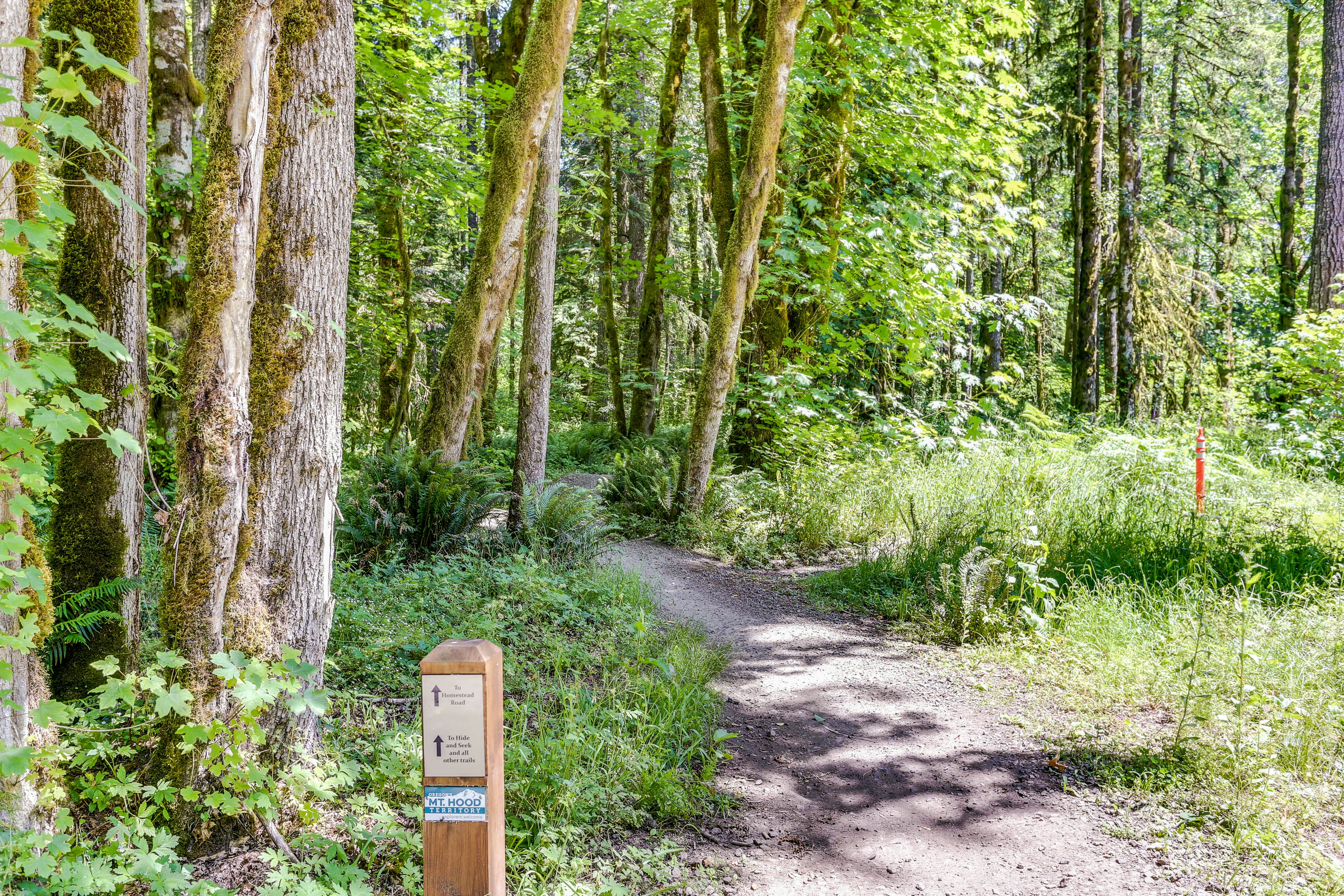 Sandy River Serenade