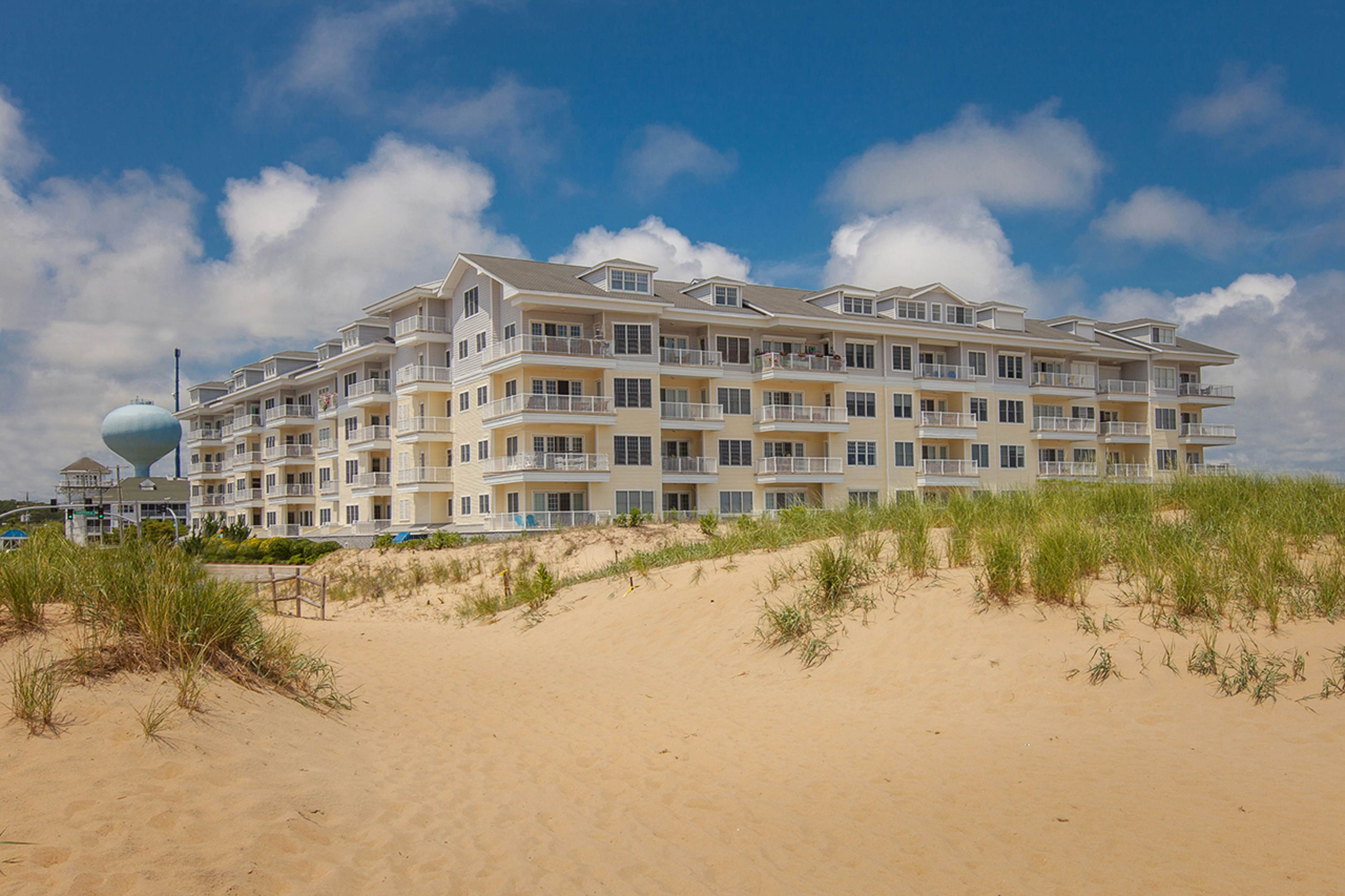 The Sandbridge Dunes - Serenity 206