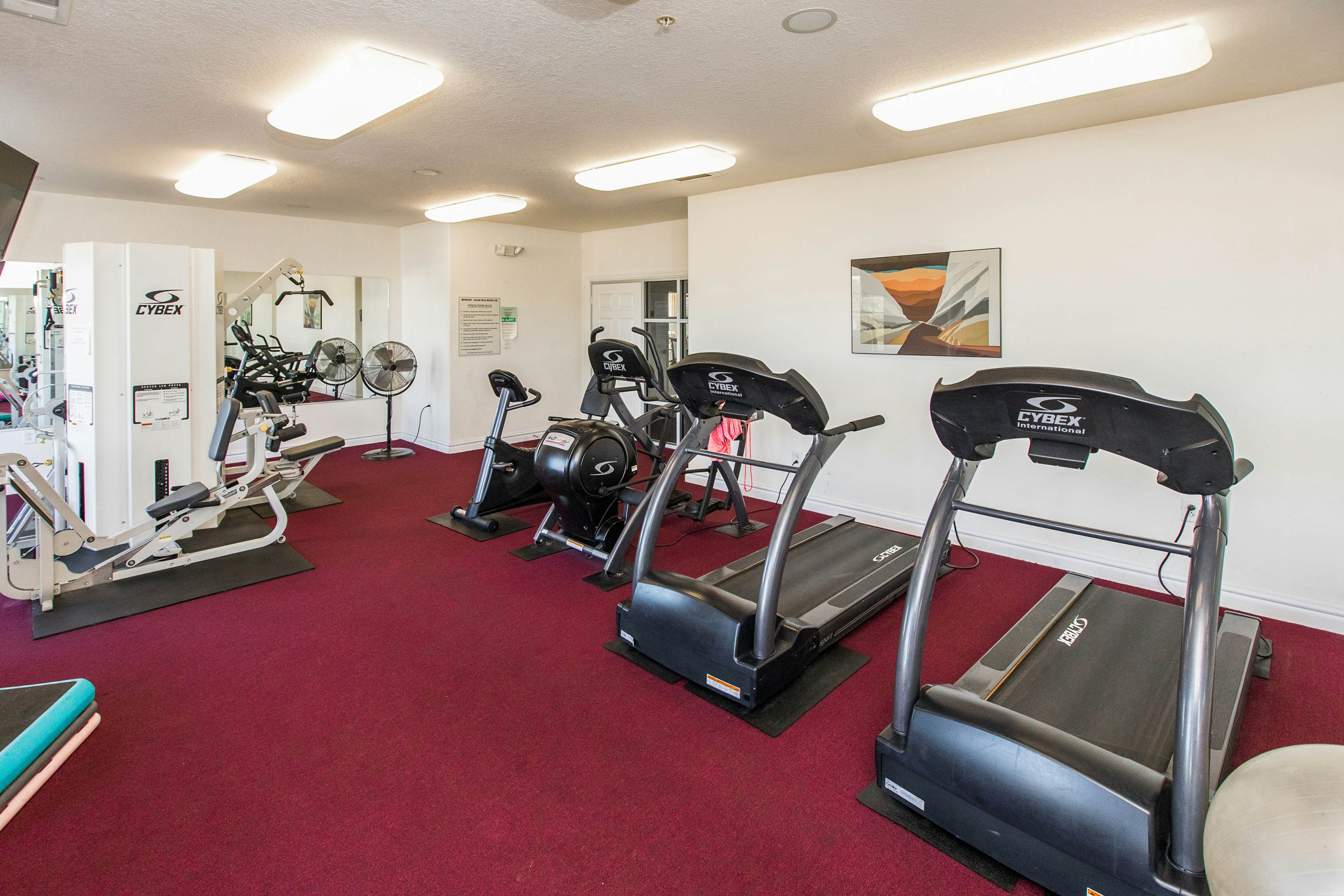 The Sandbridge Dunes - Serenity 206