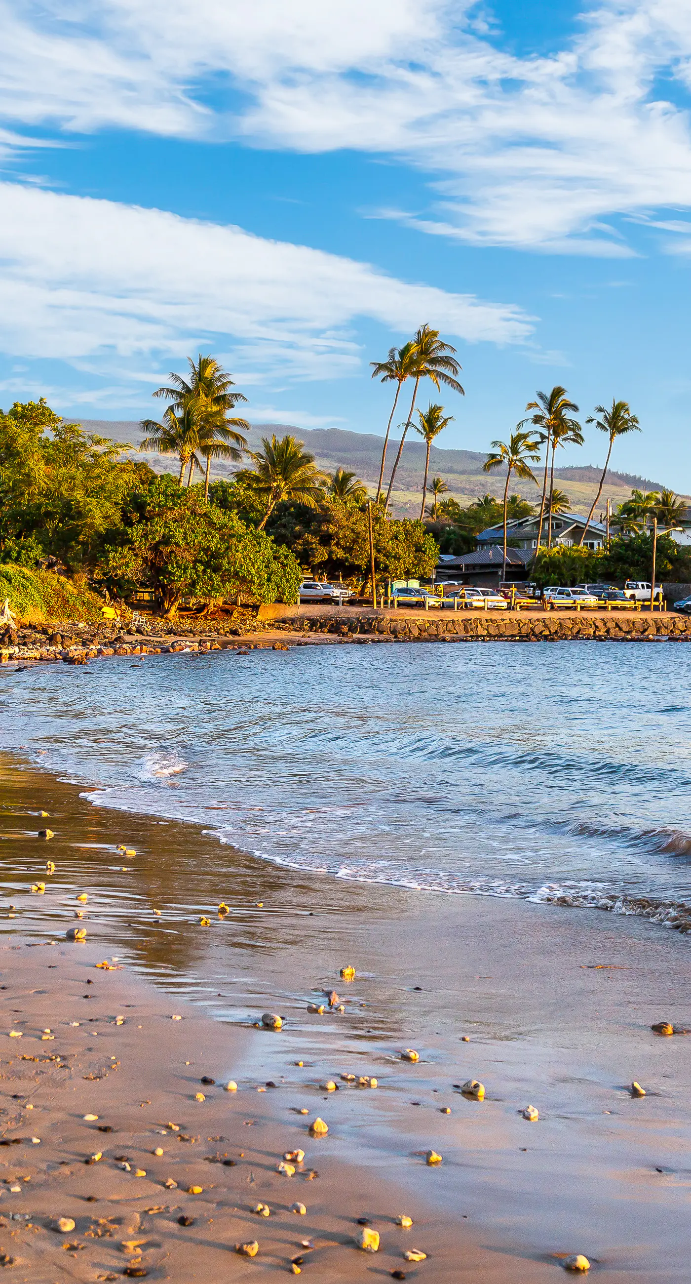 Island Surf 416