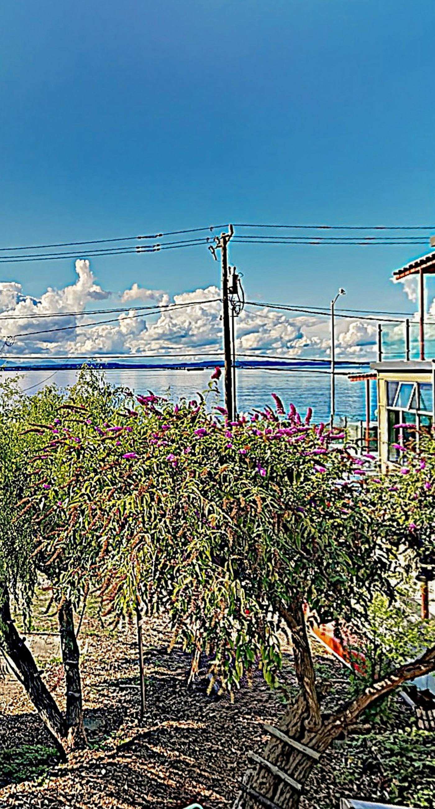 Easy Street Beach House