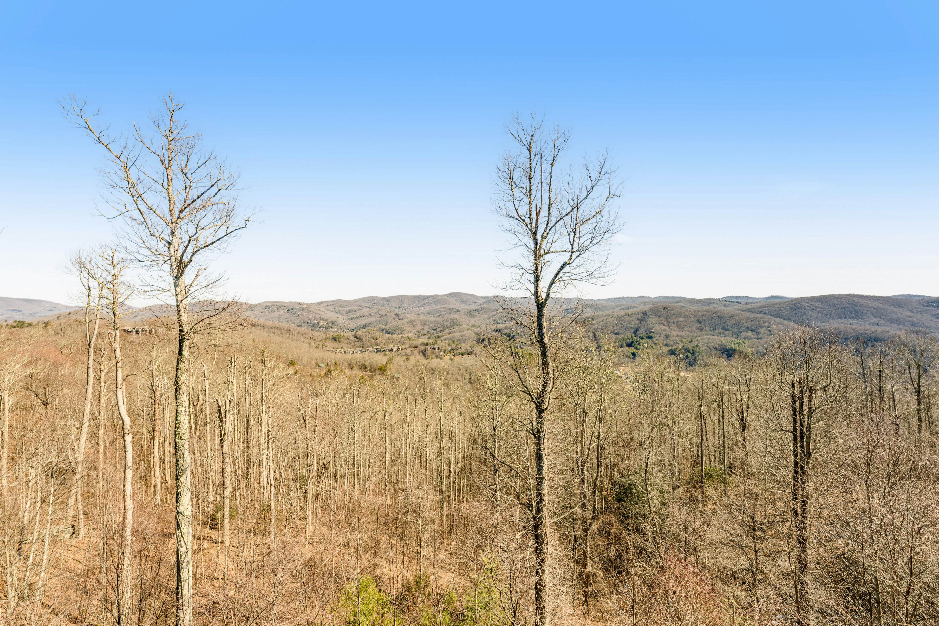 Echota Wintergreen Views