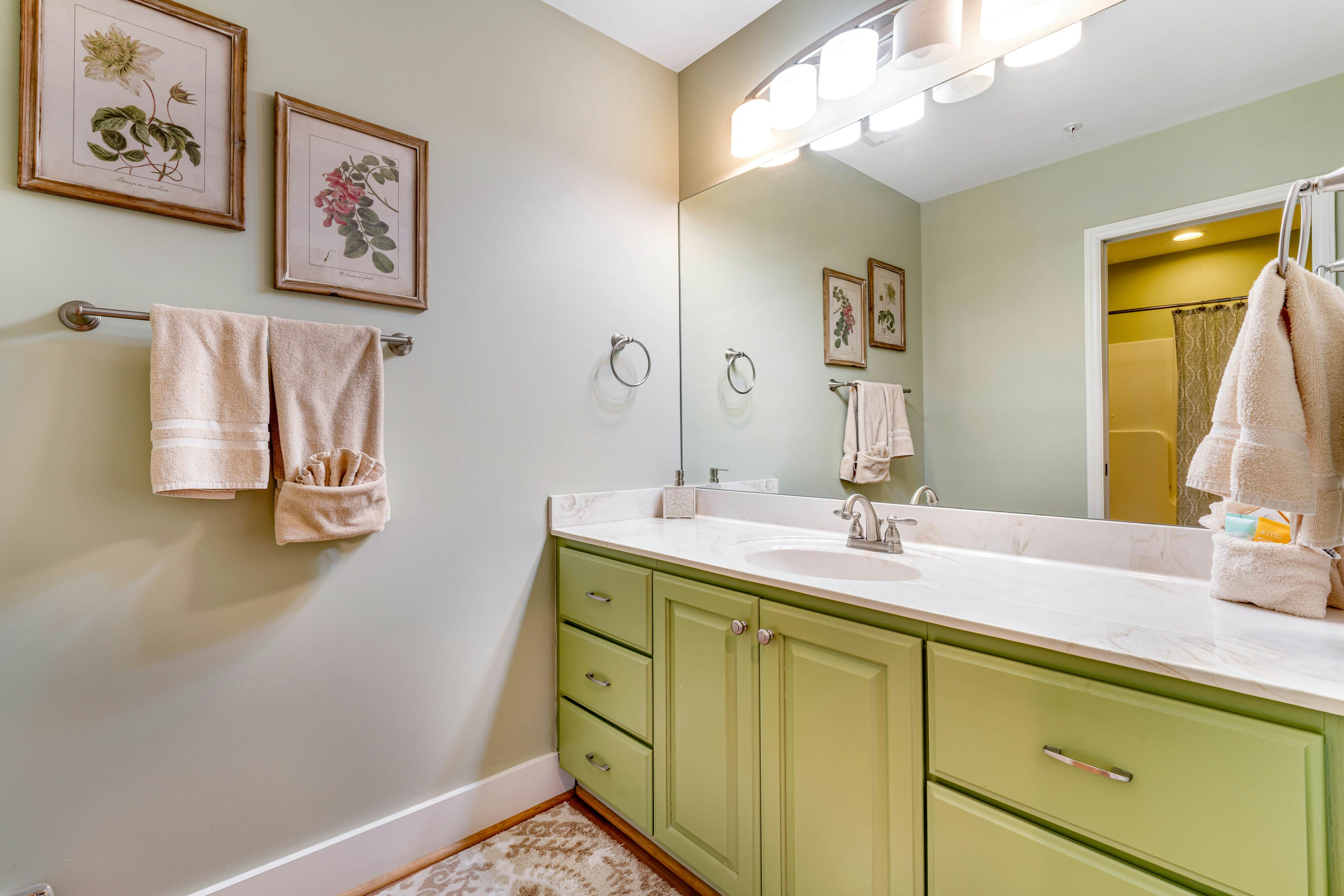 Echota Wintergreen Views