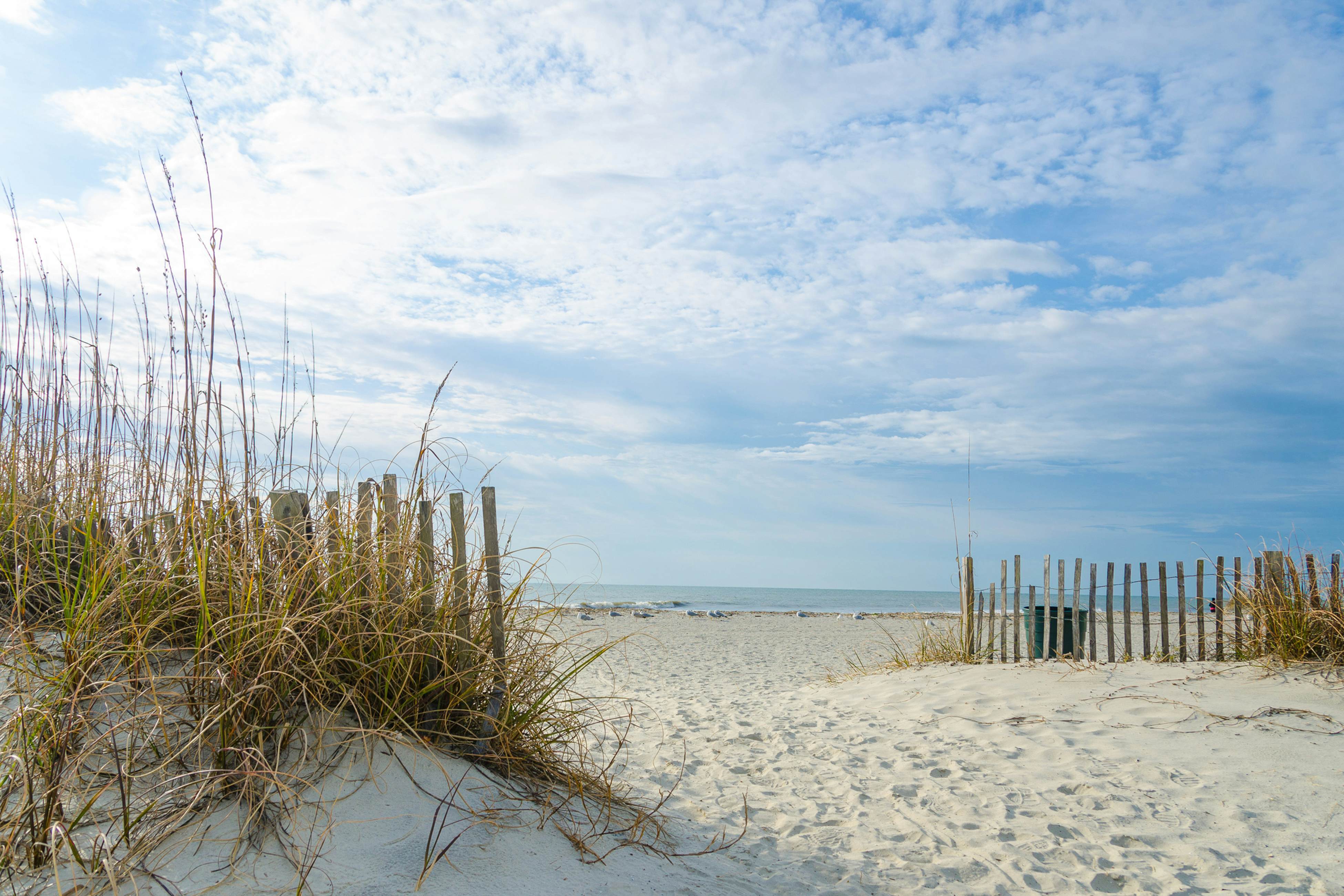 Hilton Head Resort 2417