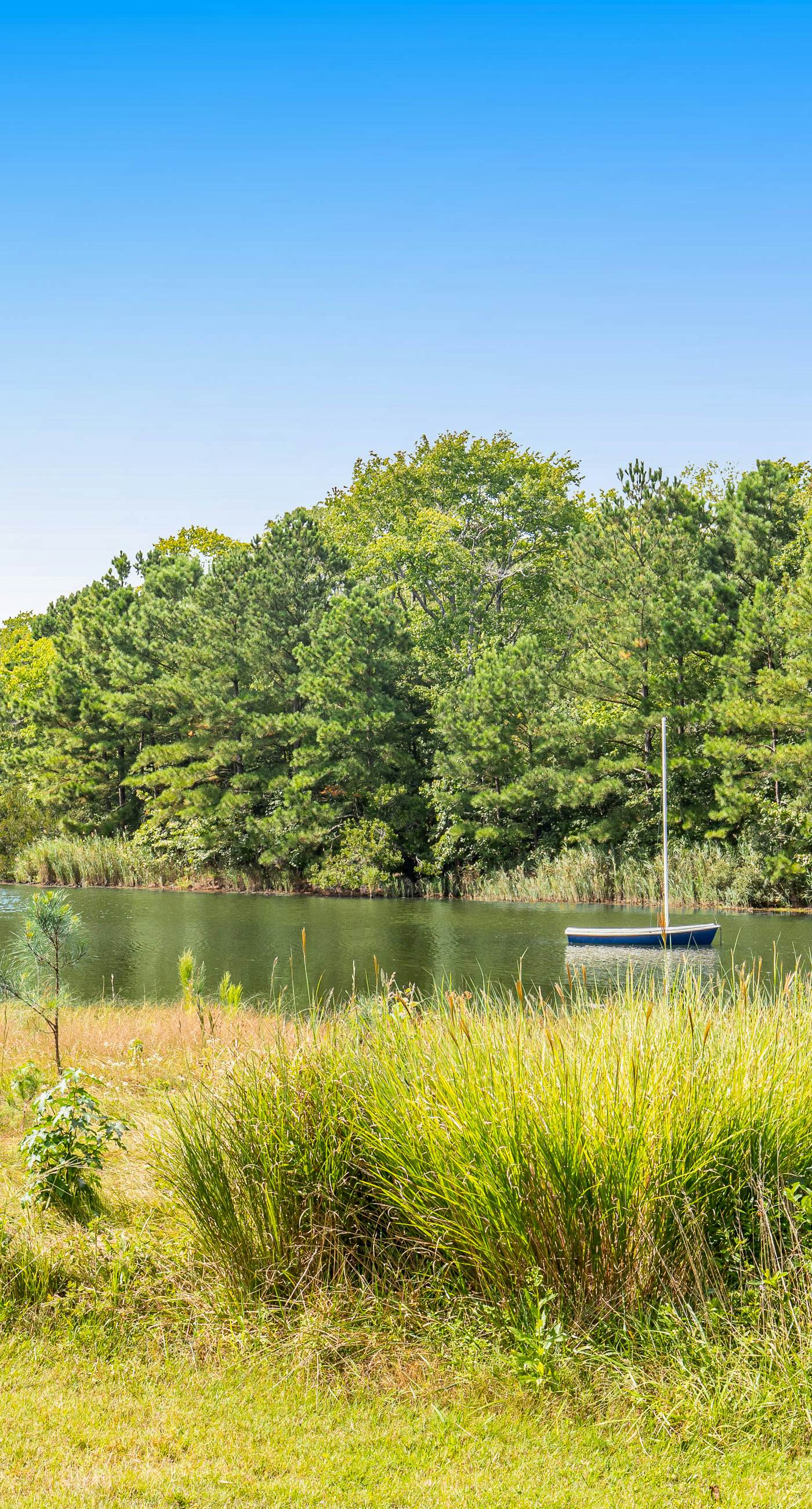 Bethany Bay - 8006 Pettinaro Dr