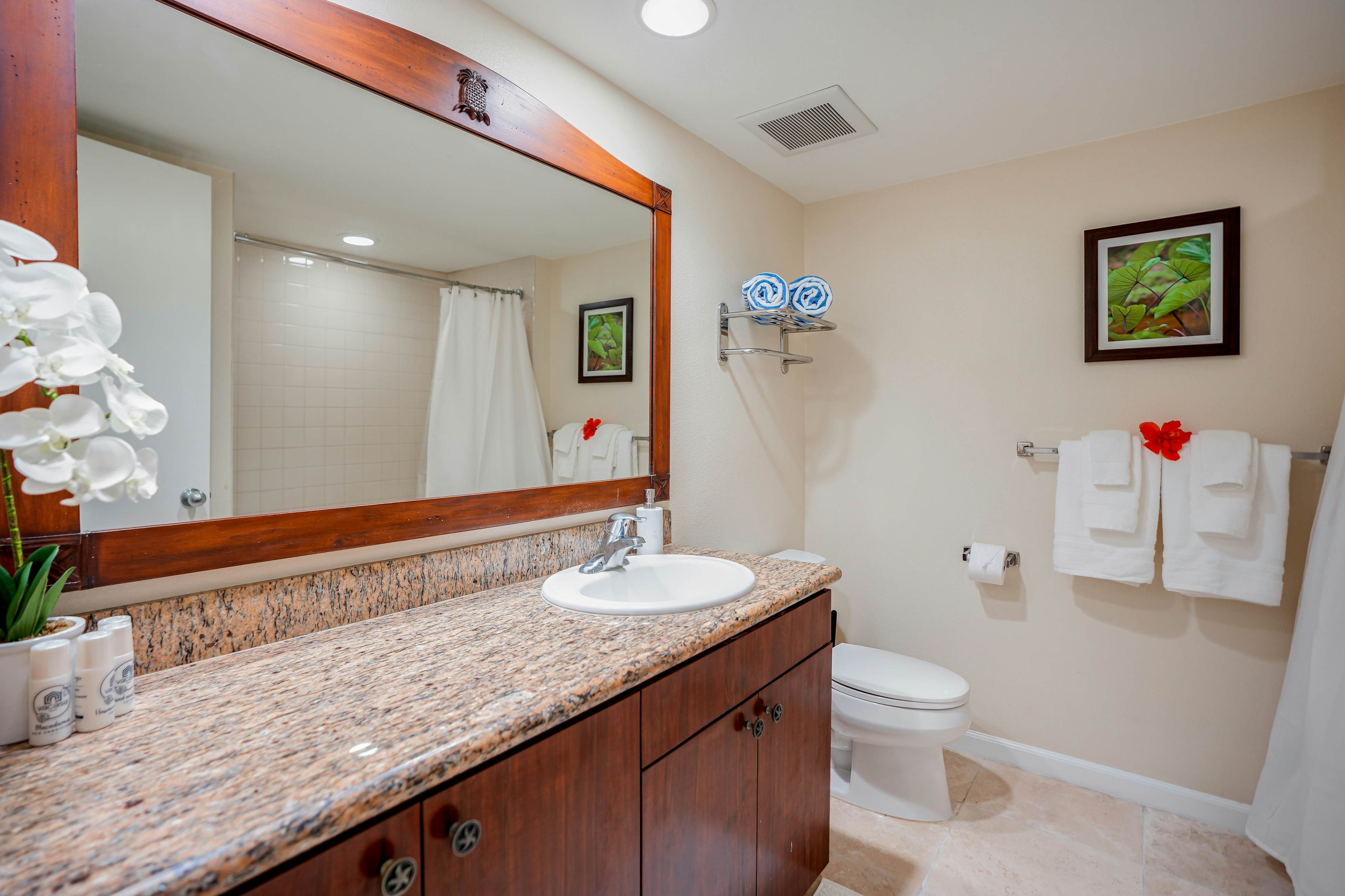 Islander on the Beach 367