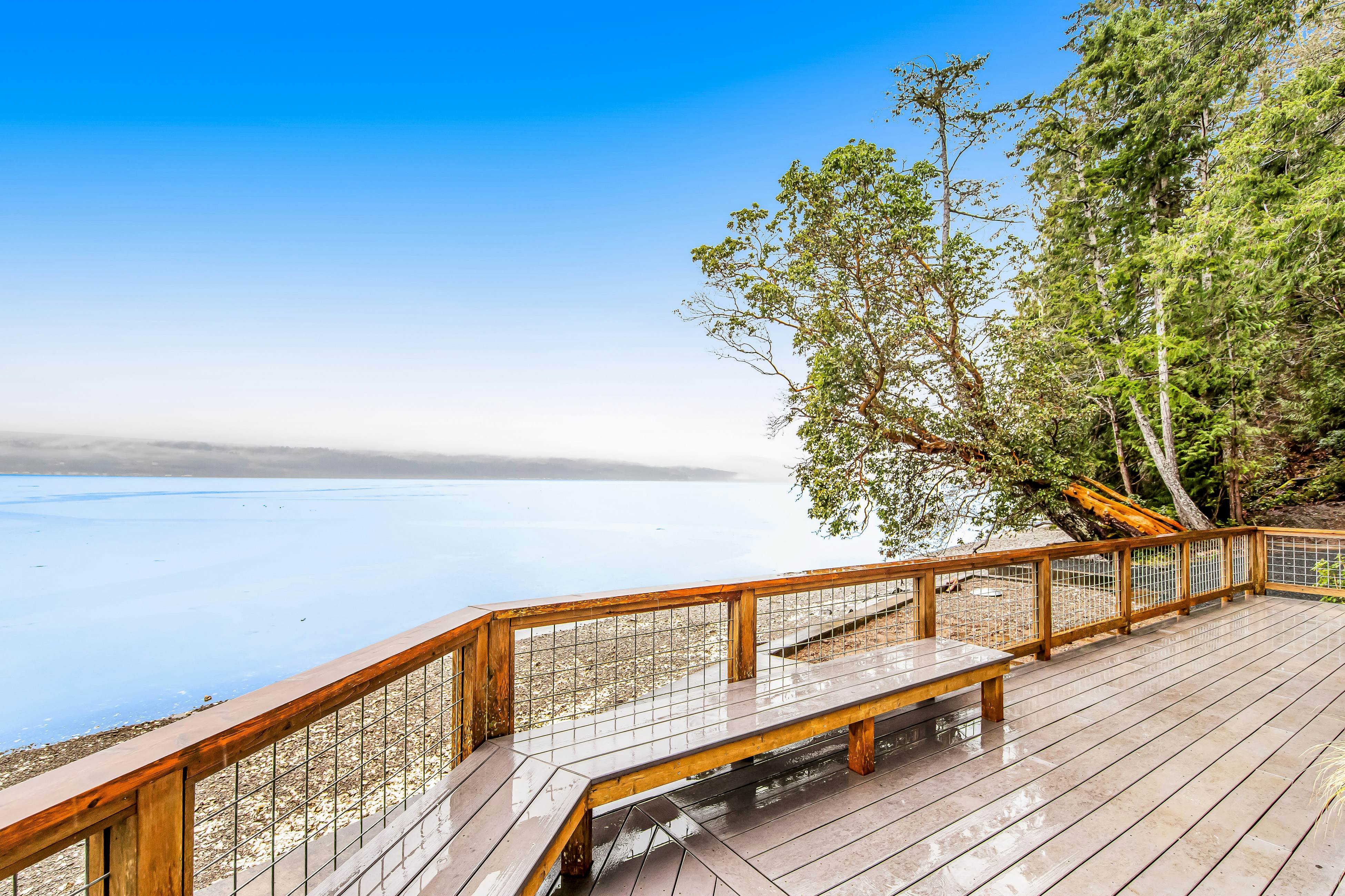 Tahuya Trees and Tides